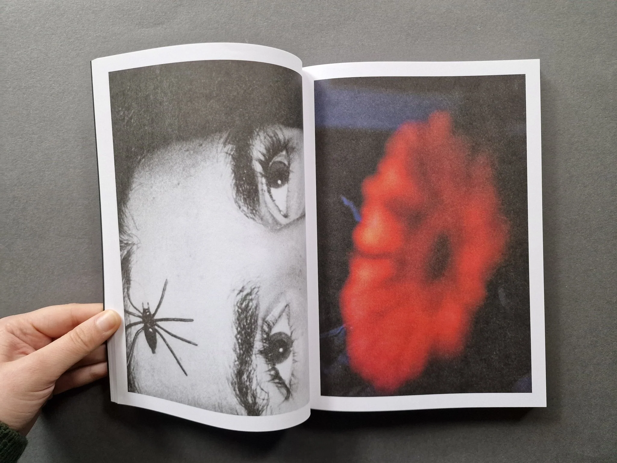 Oikeiôsis - Image 2