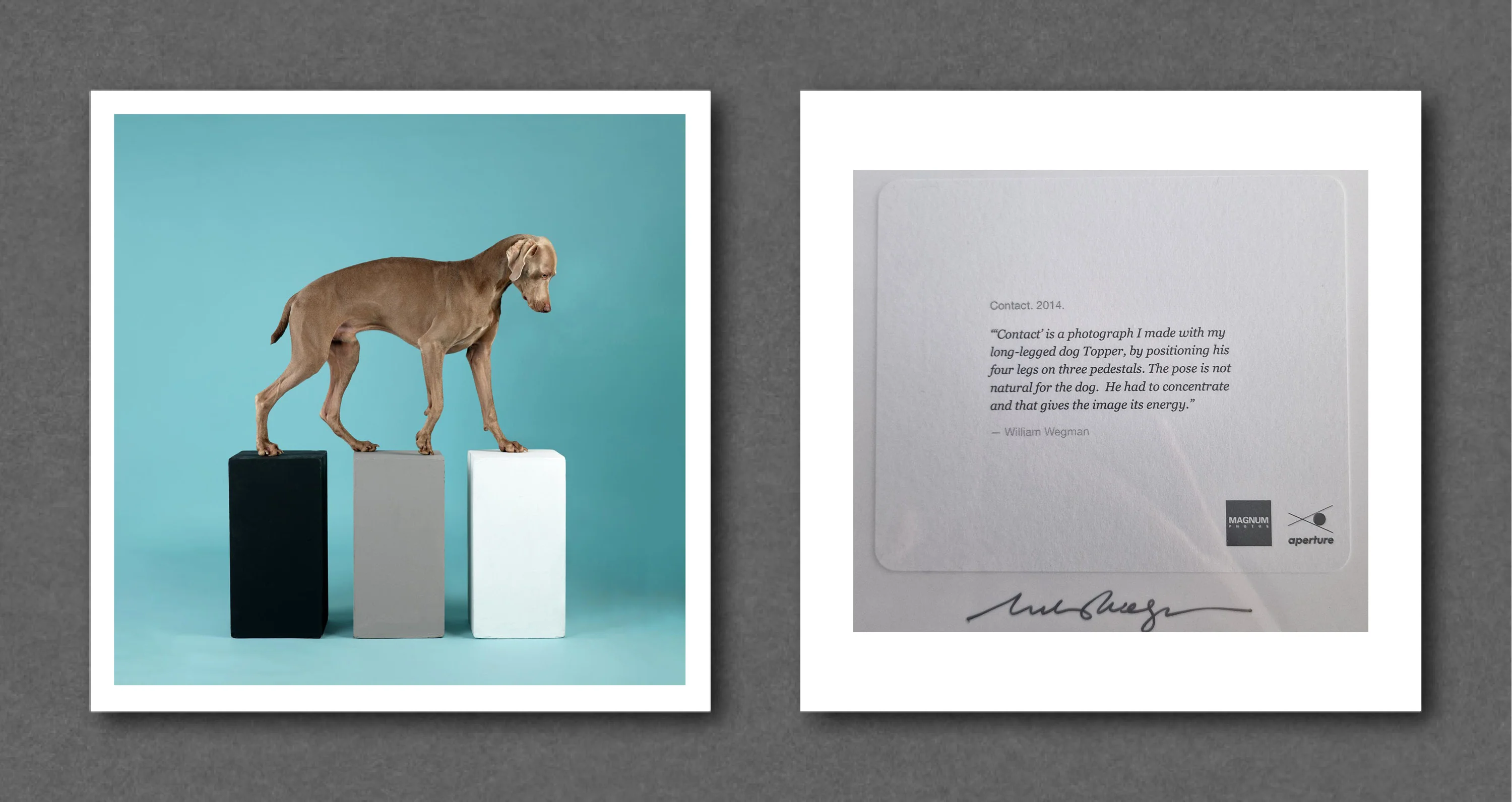 William Wegman Magnum Square Prints - Image 3