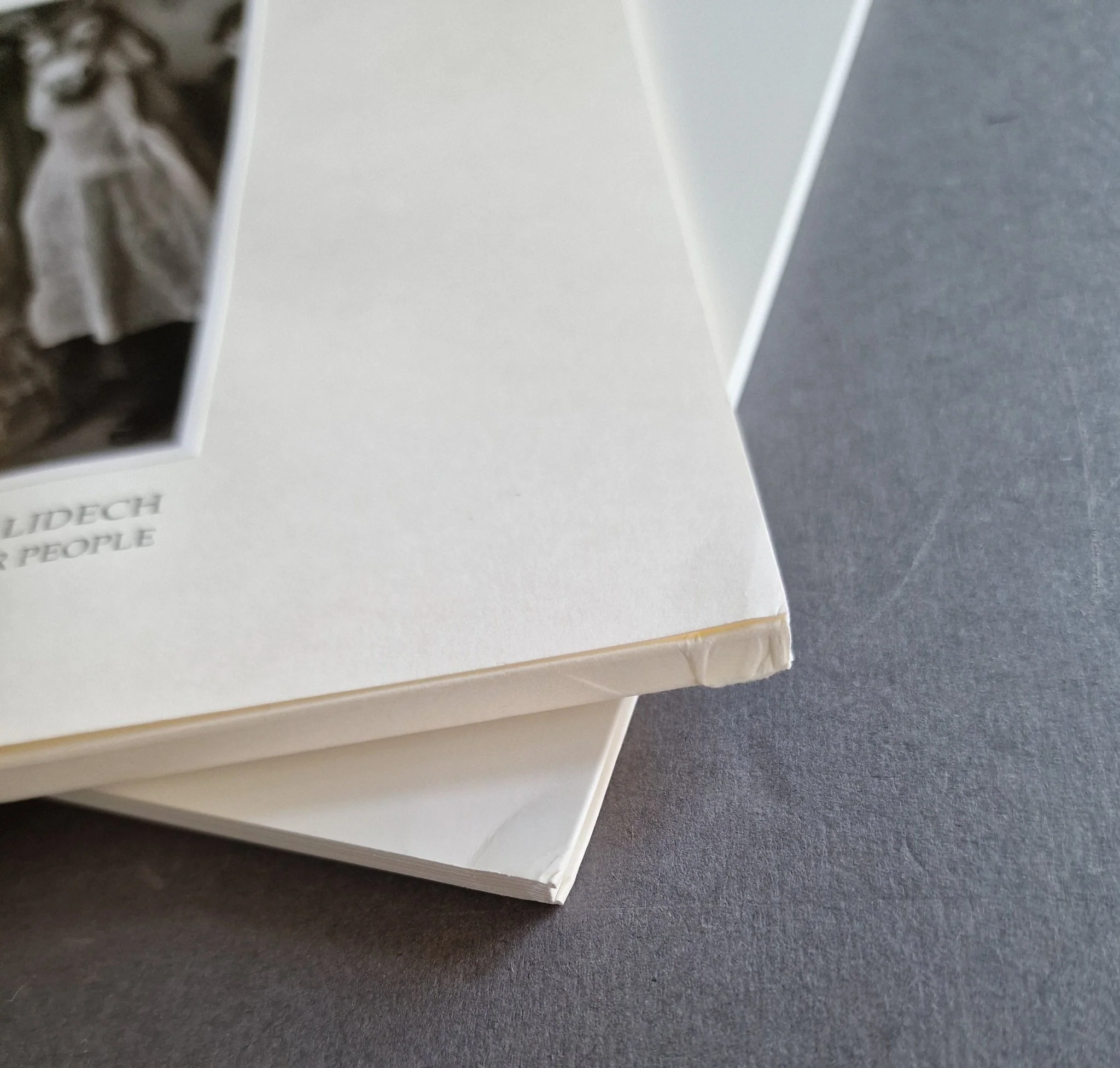 On Death and Horses and Other People - with signed print - Image 3