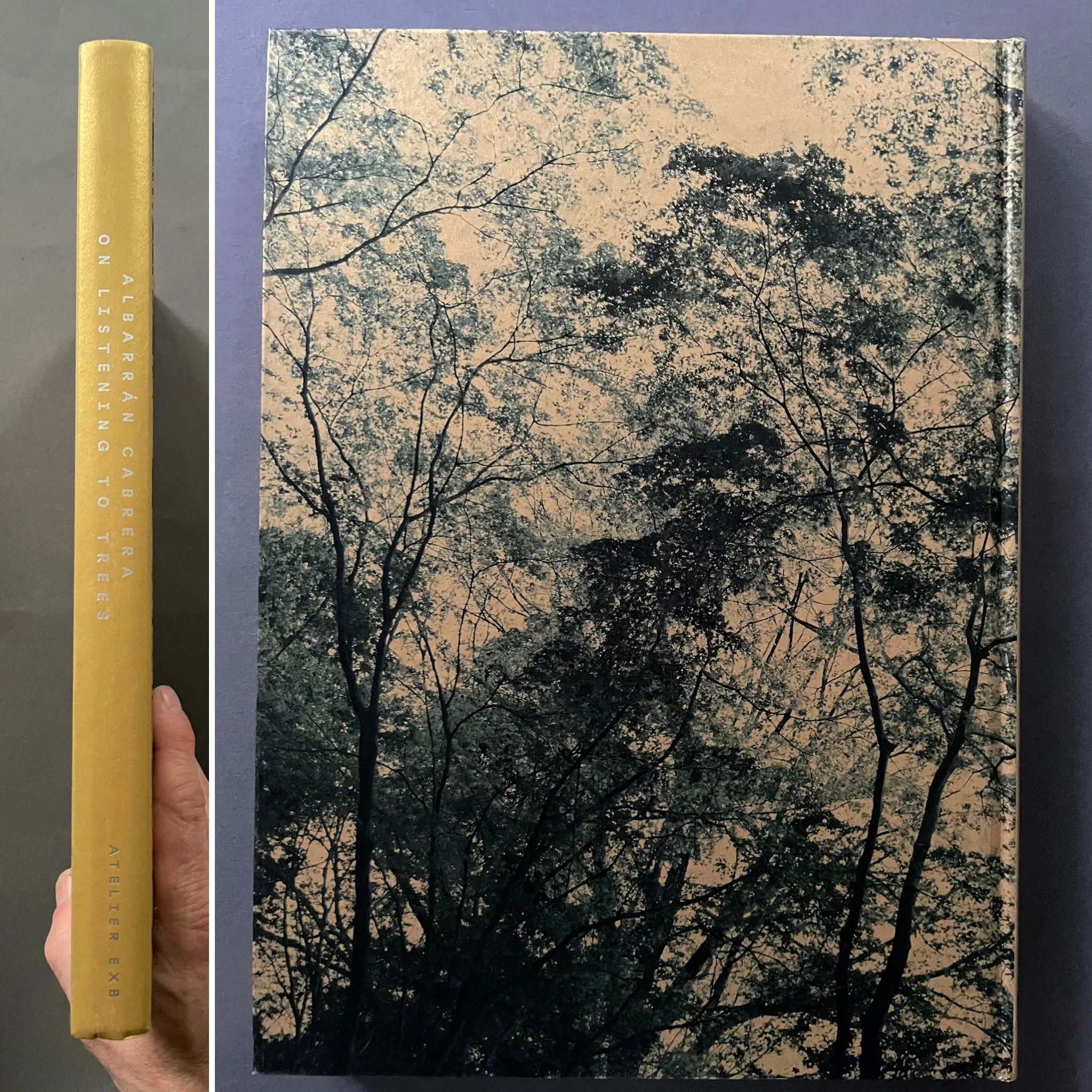 On Listening To Trees - Image 6