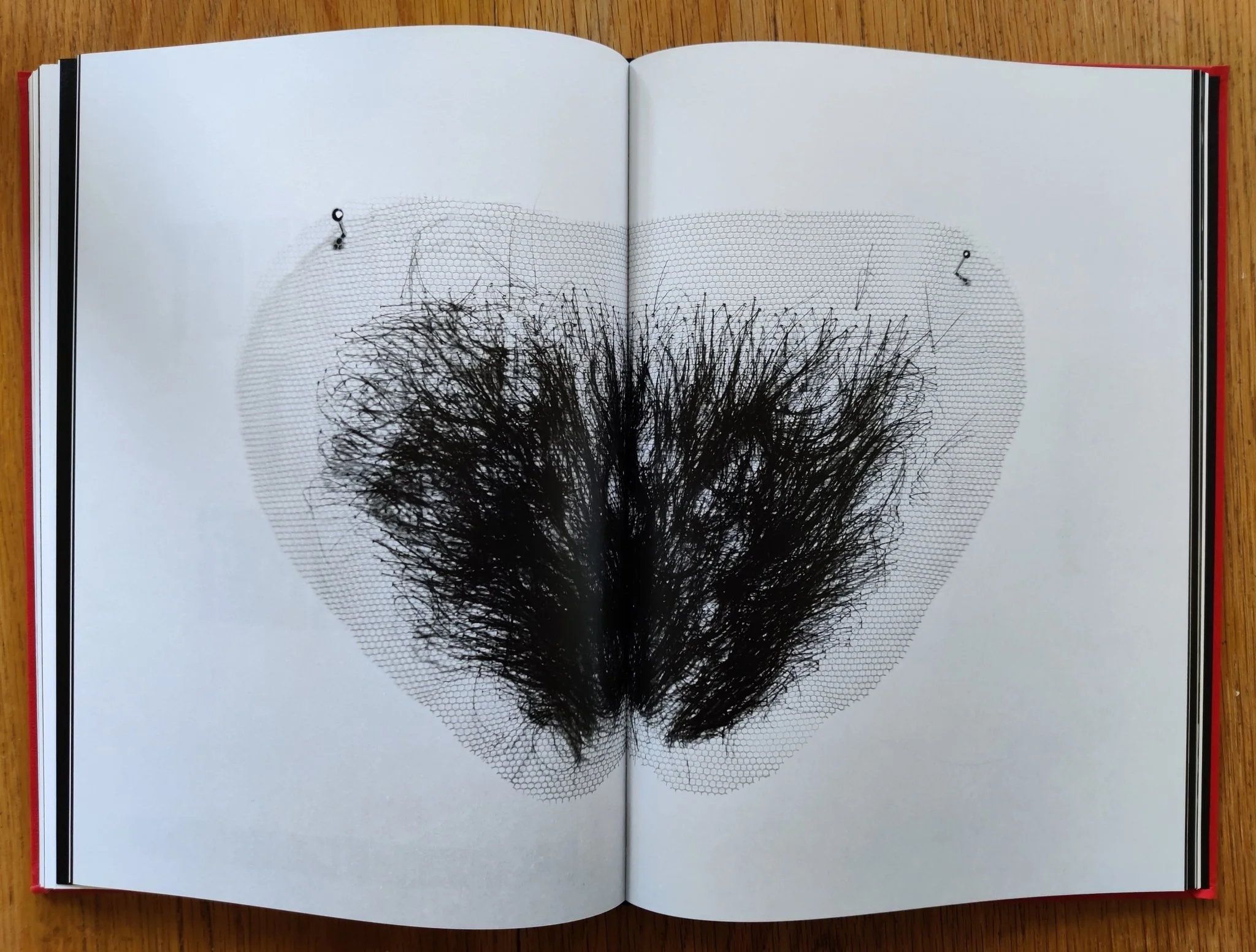 On Rape: And Institutional Failure - Image 10