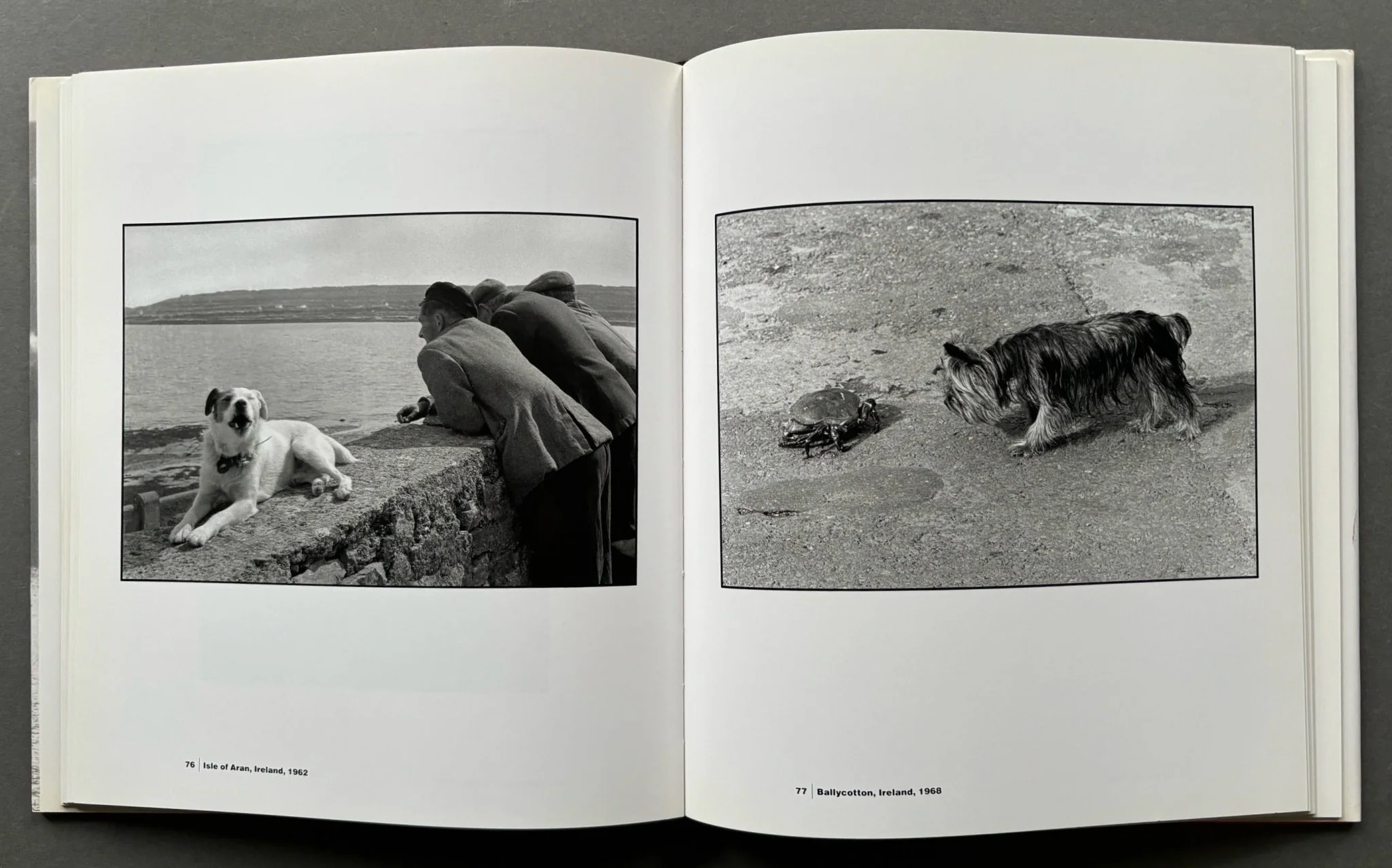On The Beach - Image 4
