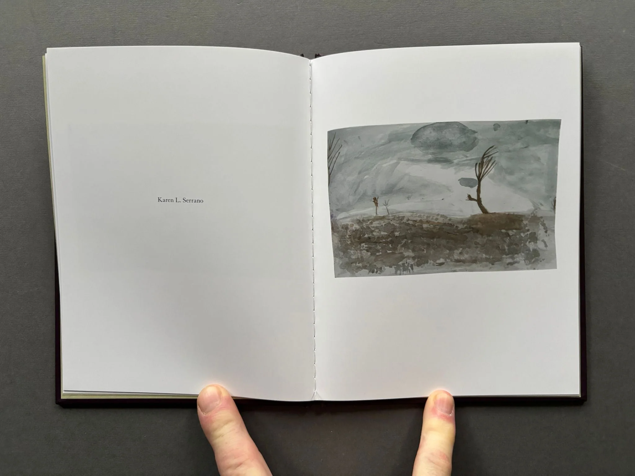 One Picture Book #59: Cracked Trees - Image 4