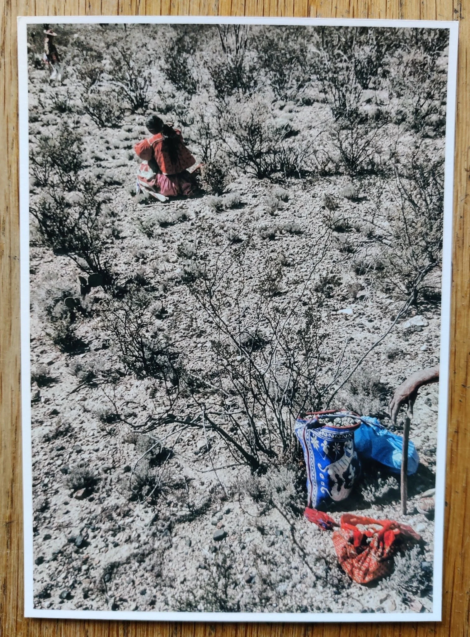 One Picture Book Set: Bent Tree, Ça Va Aller, Black Sun, Peyote - Image 16