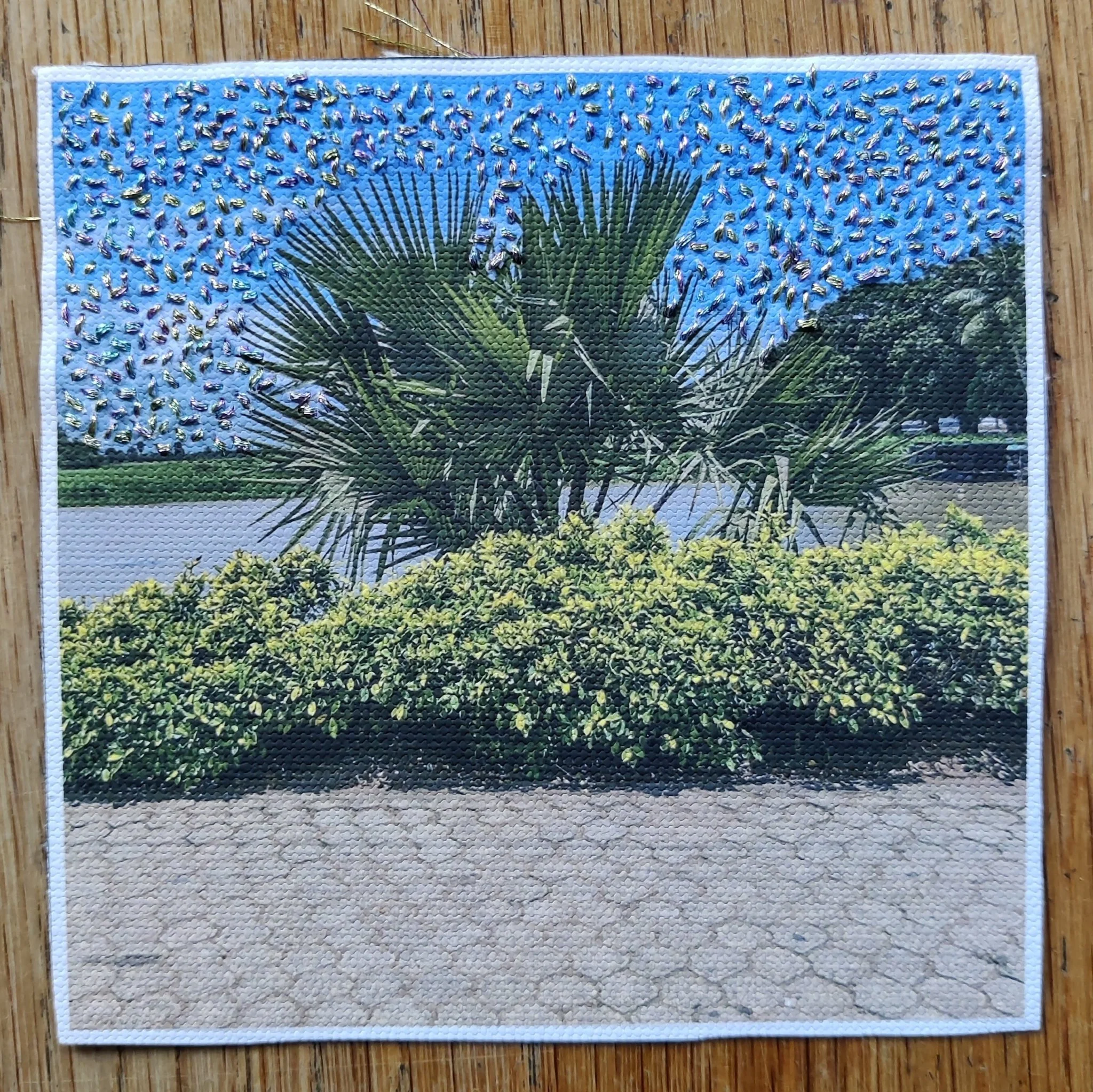 One Picture Book Set: Bent Tree, Ça Va Aller, Black Sun, Peyote - Image 8