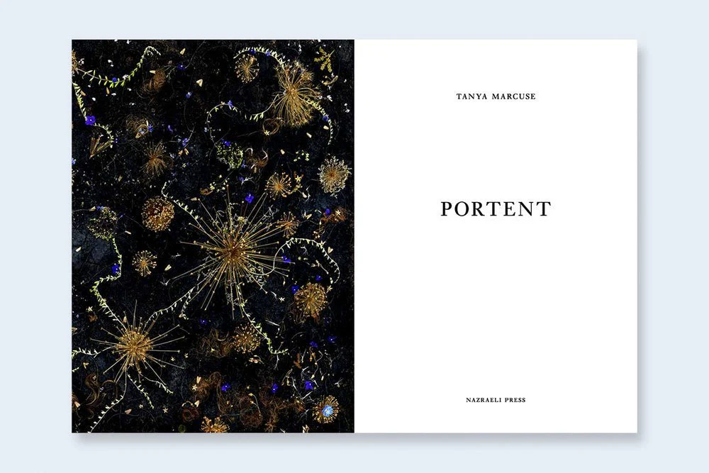 One Picture Book Two #37 : Portent - Image 2