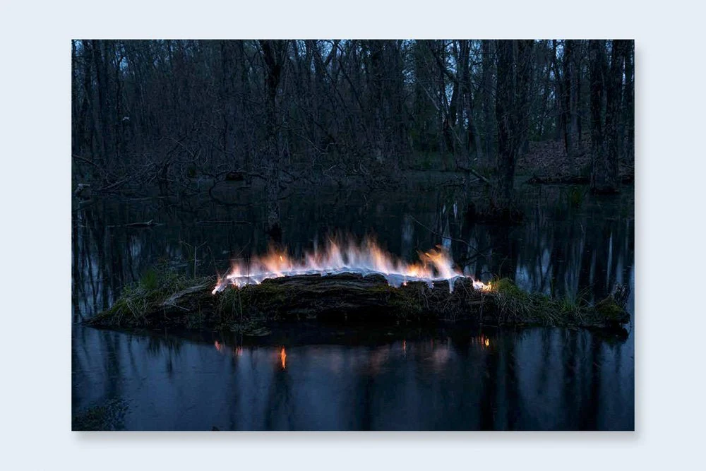 One Picture Book Two #37 : Portent - Image 6