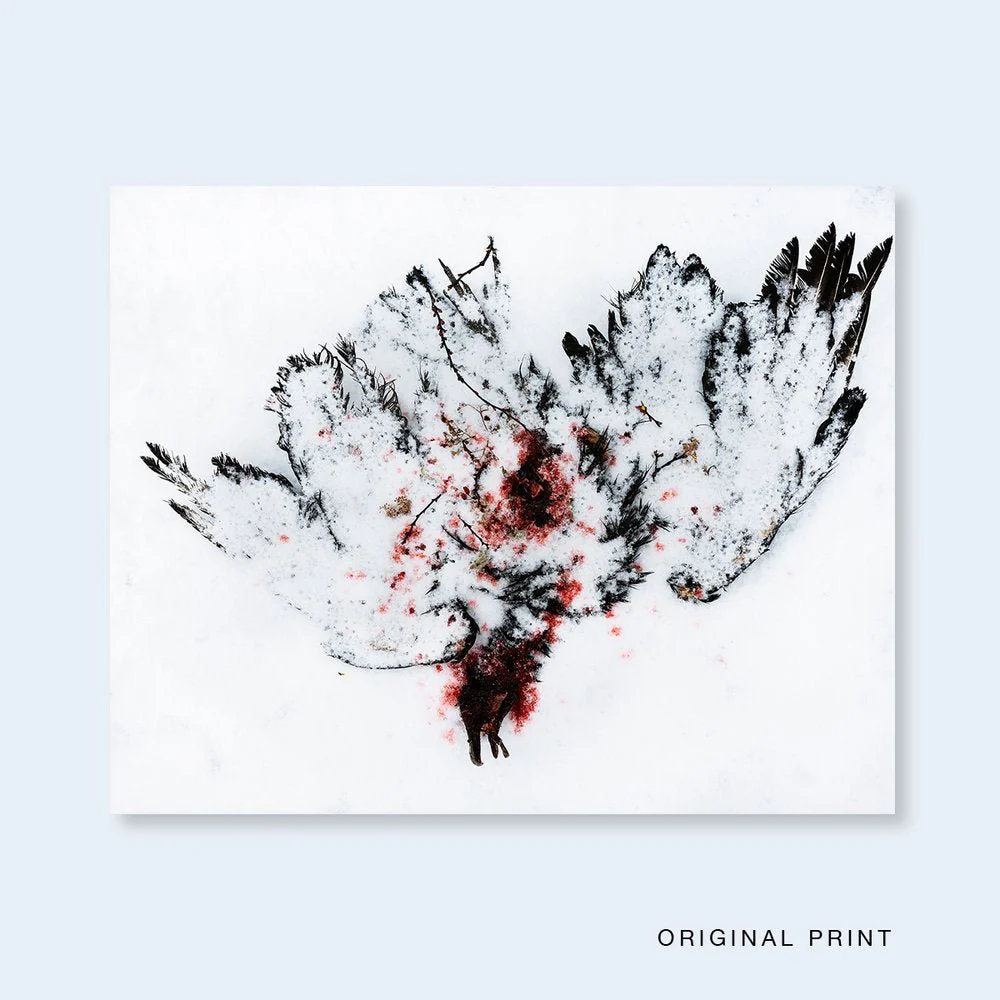 One Picture Book Two #37 : Portent - Image 8