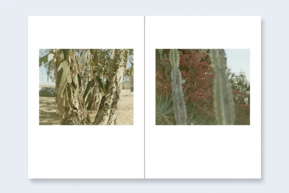 One Picture Book Two #51 : Desert Daze - Image 4