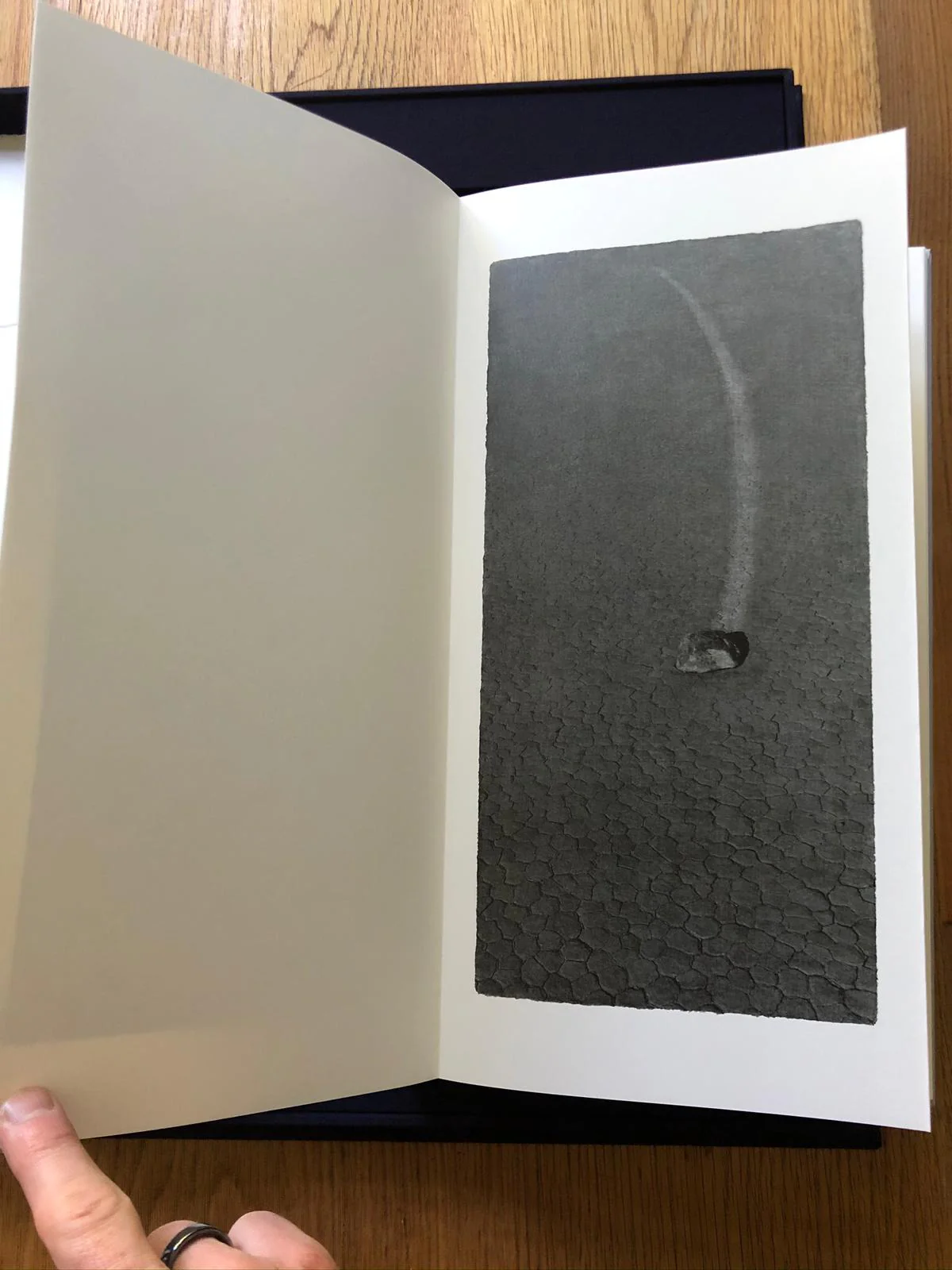 Opening - Special Edition - Image 6