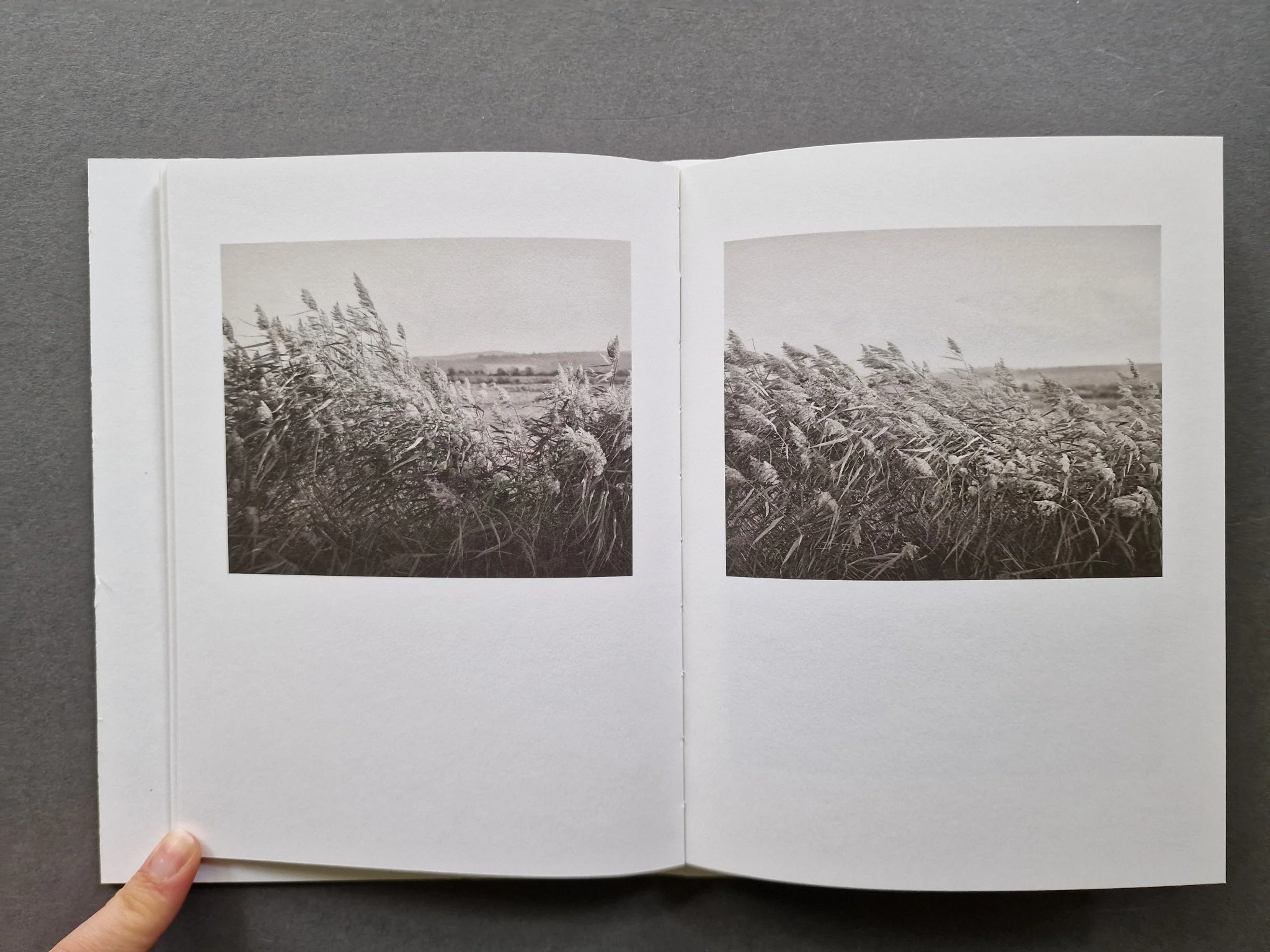 Ossa - Image 7