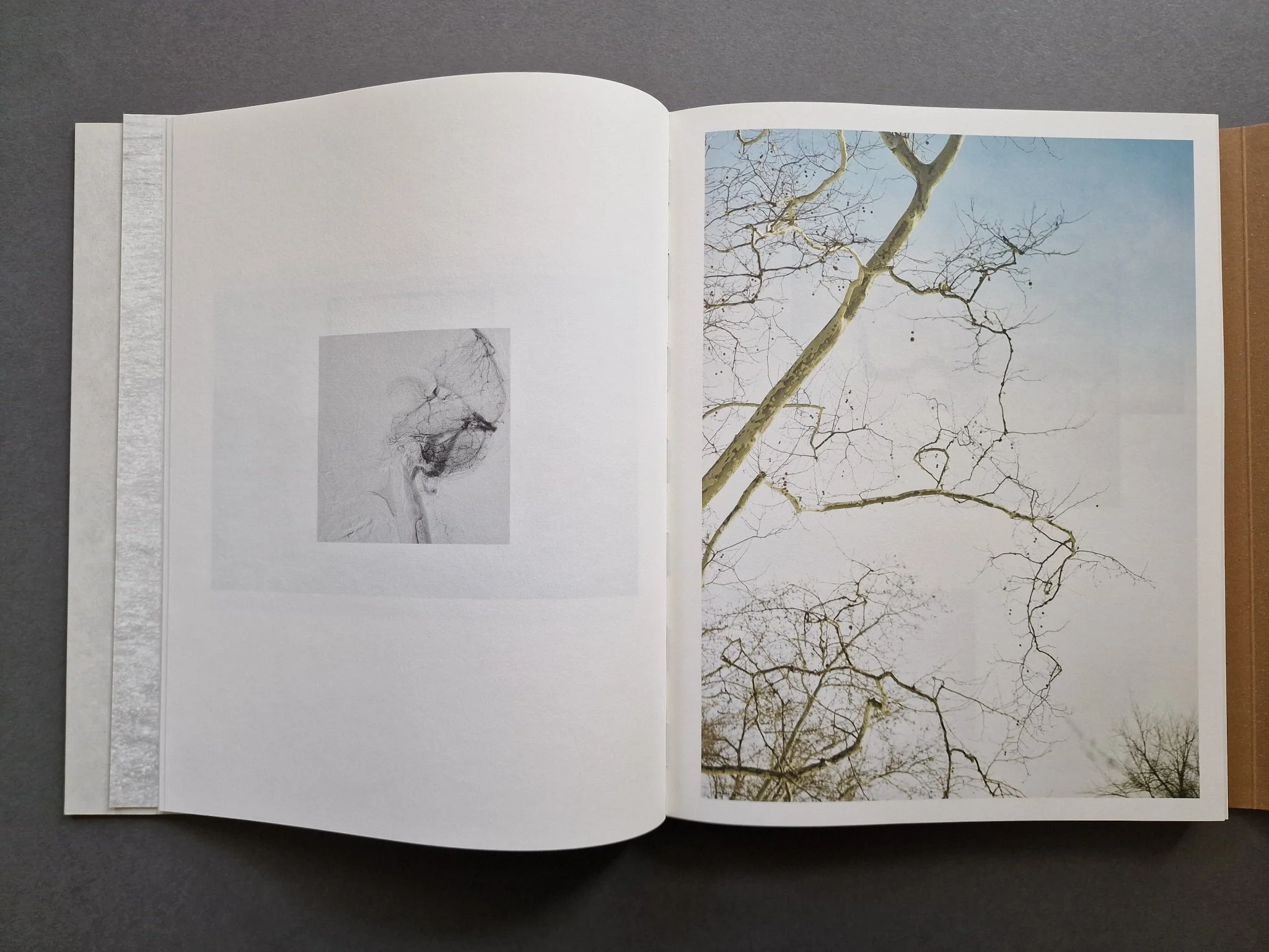 Other Ways of Being - Image 5
