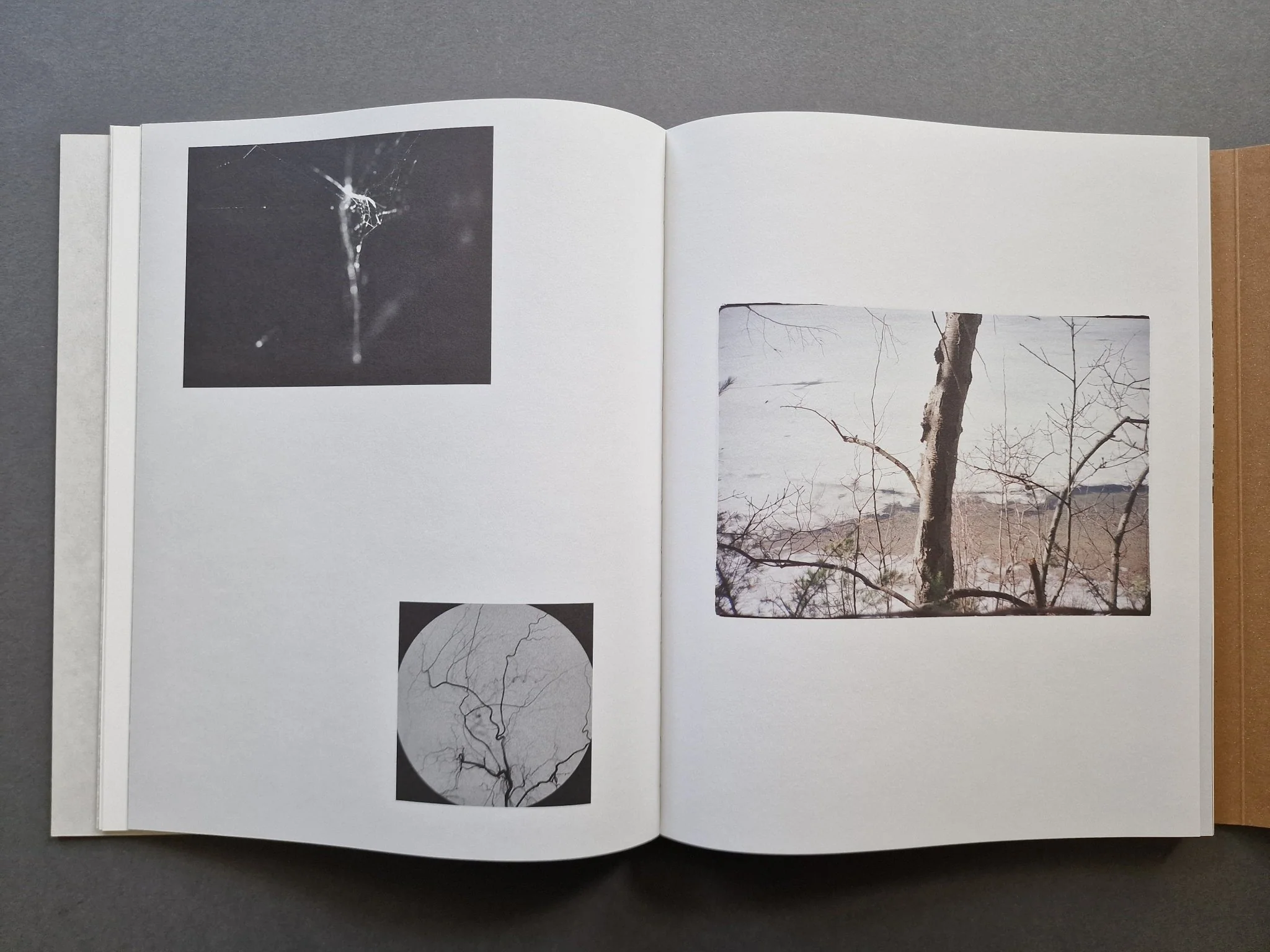 Other Ways of Being - Image 6