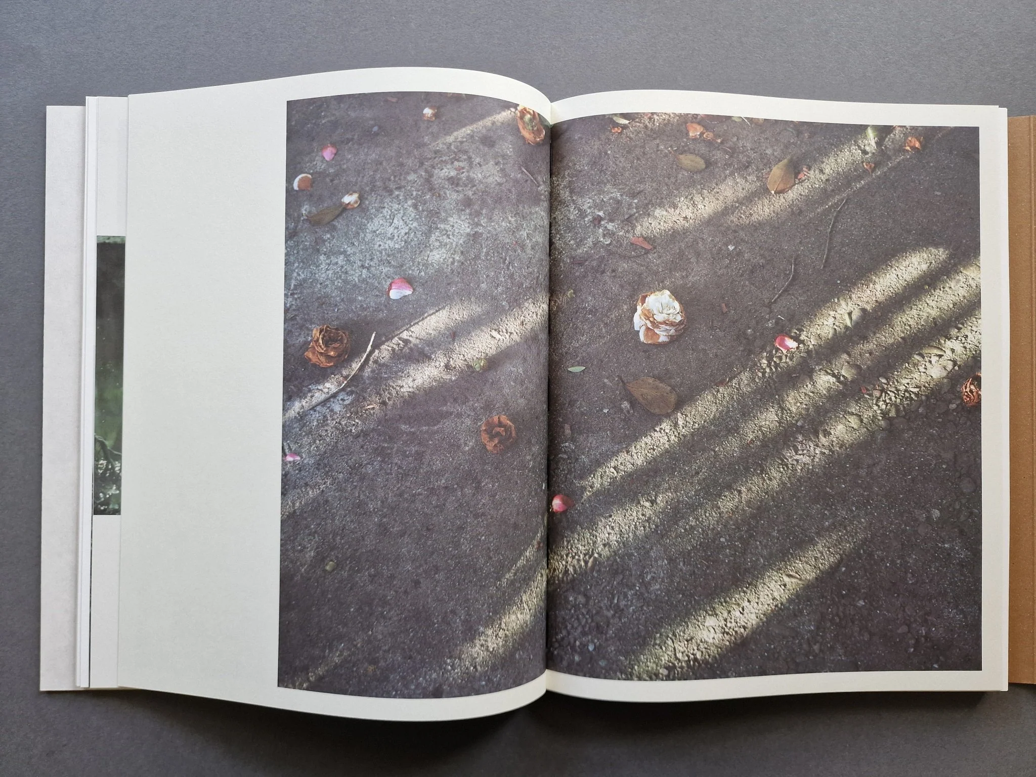 Other Ways of Being - Image 7