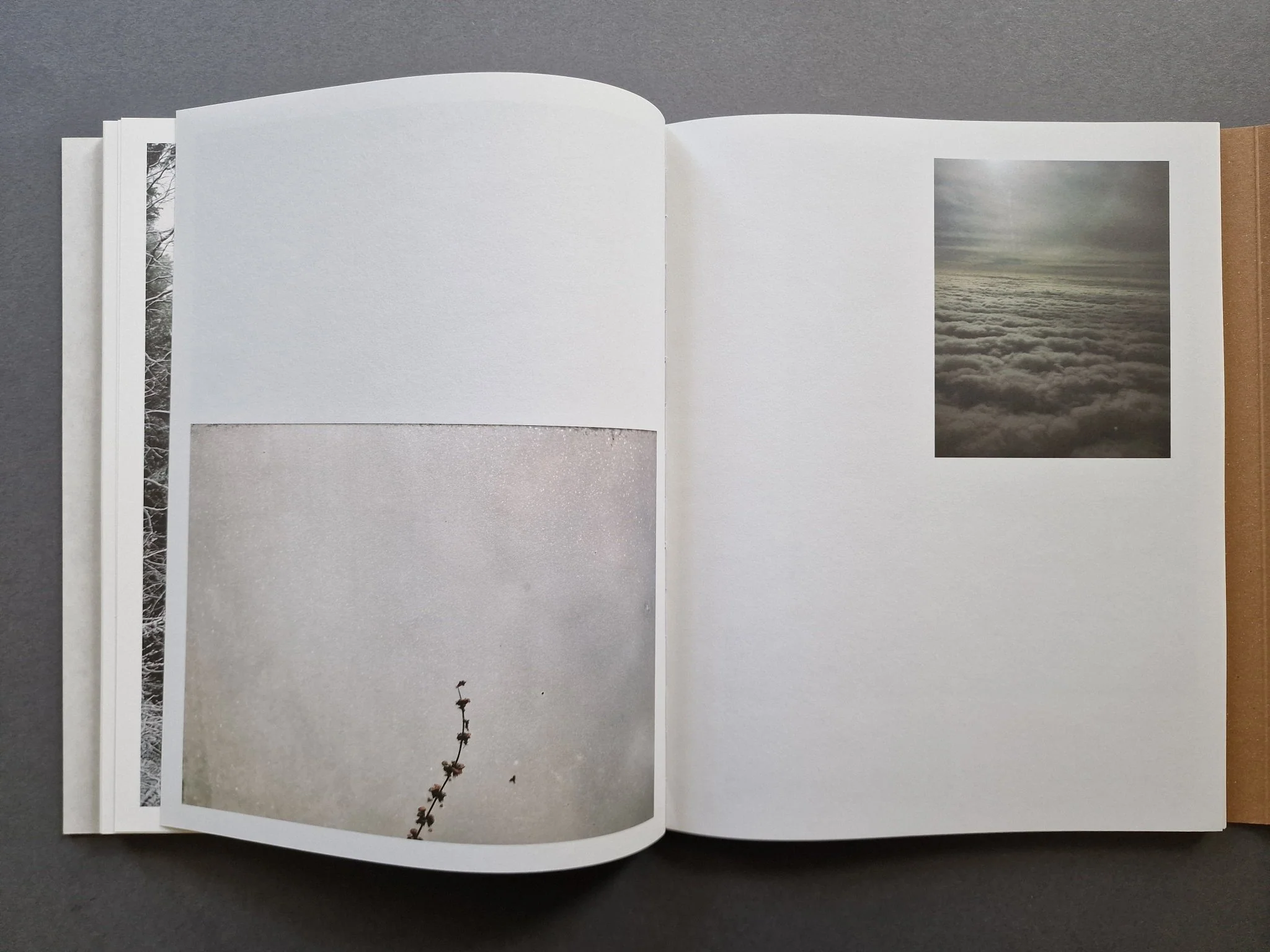 Other Ways of Being - Image 8