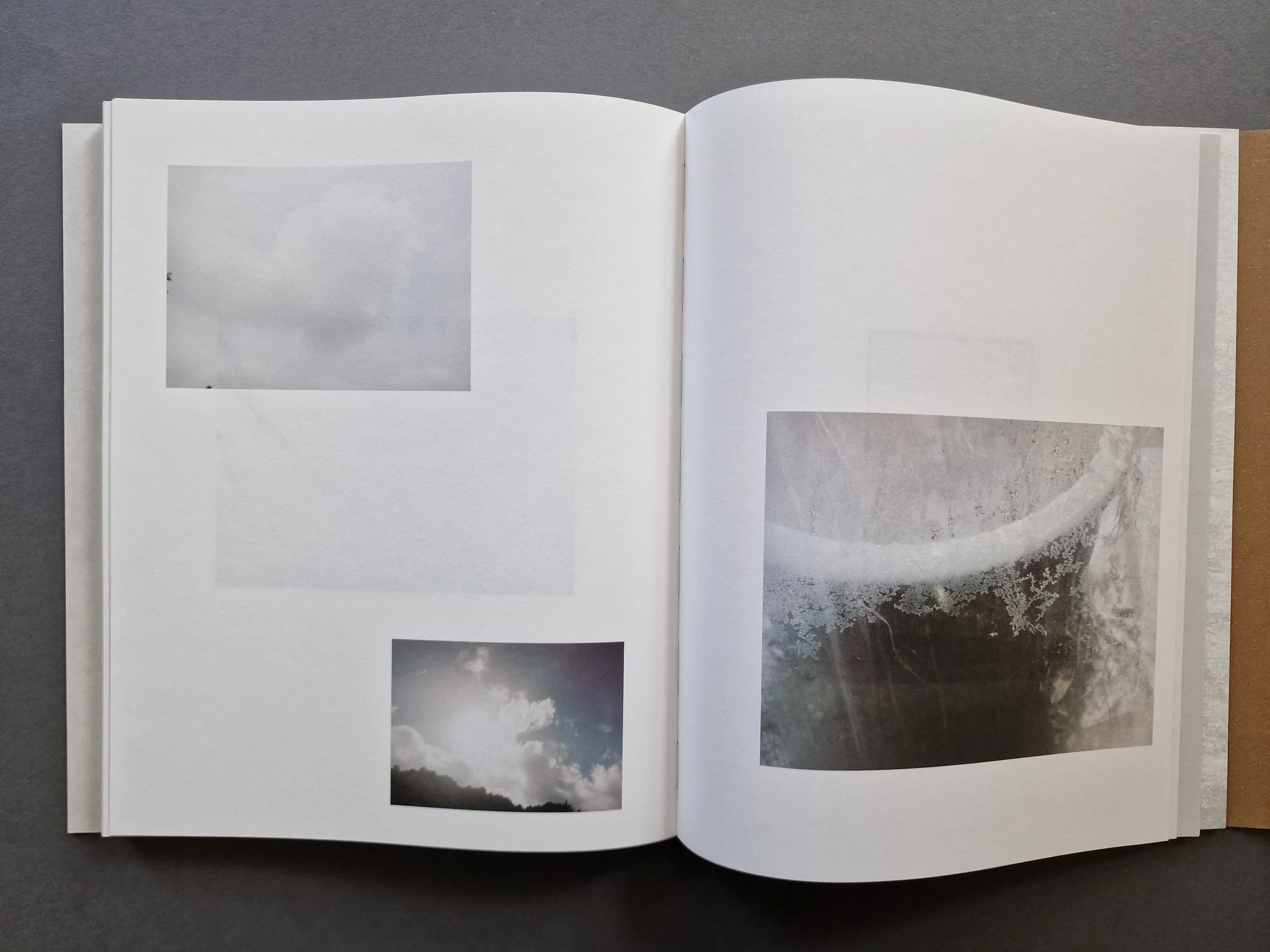 Other Ways of Being - Image 9