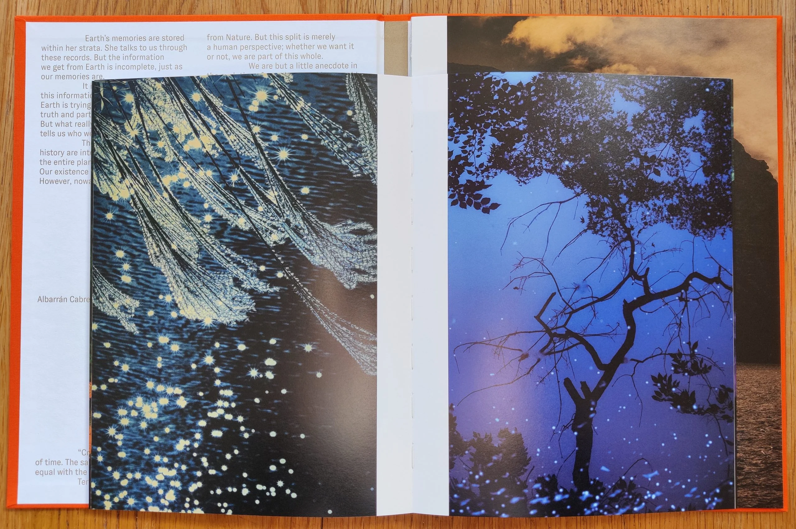 Pale Blue - Image 7