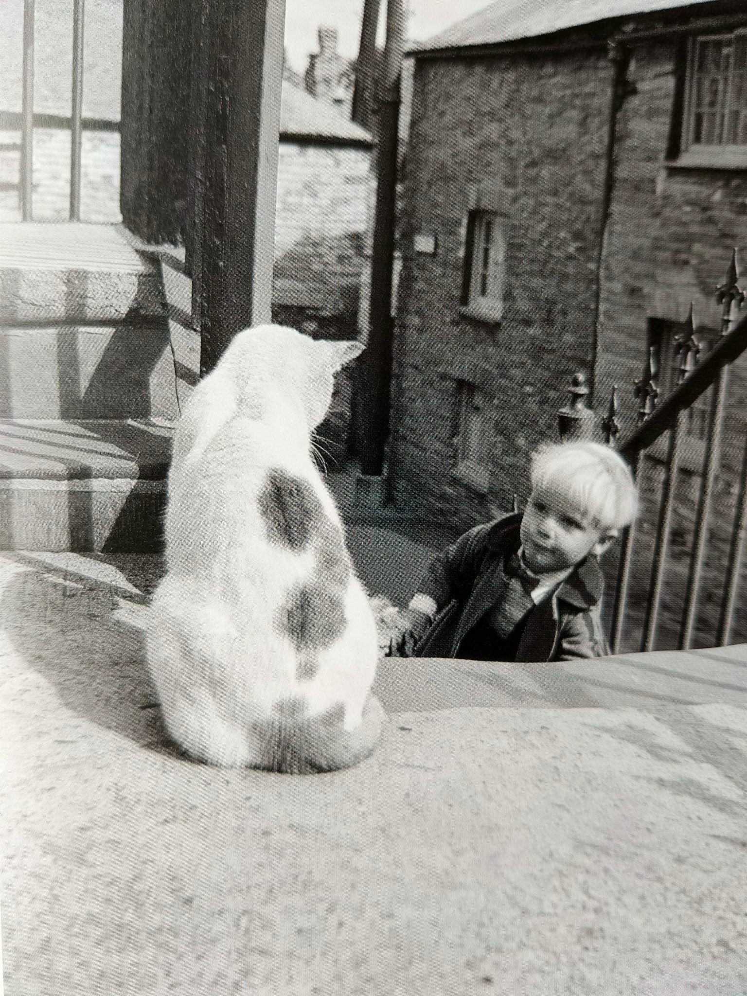 Paradise Street: The Lost Art of Playing Outside (Vintage Britain) - Image 13