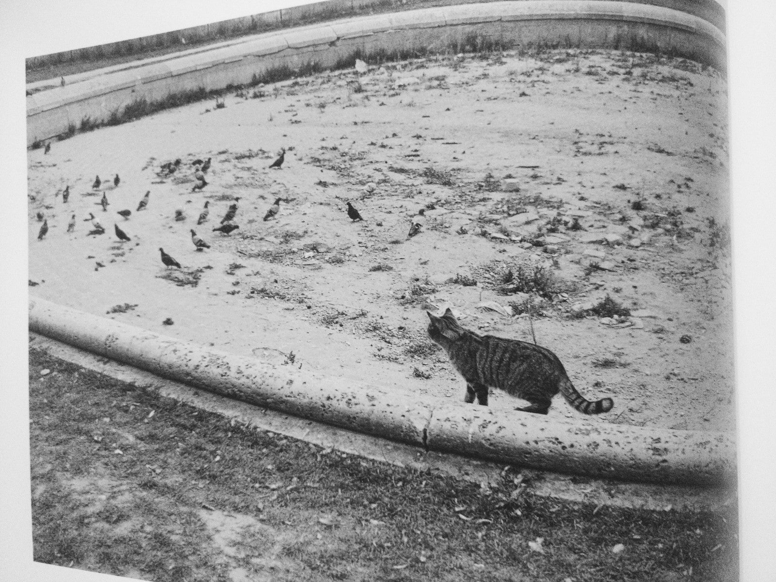 Paris In My Time with a Limited Edition Print - Image 6