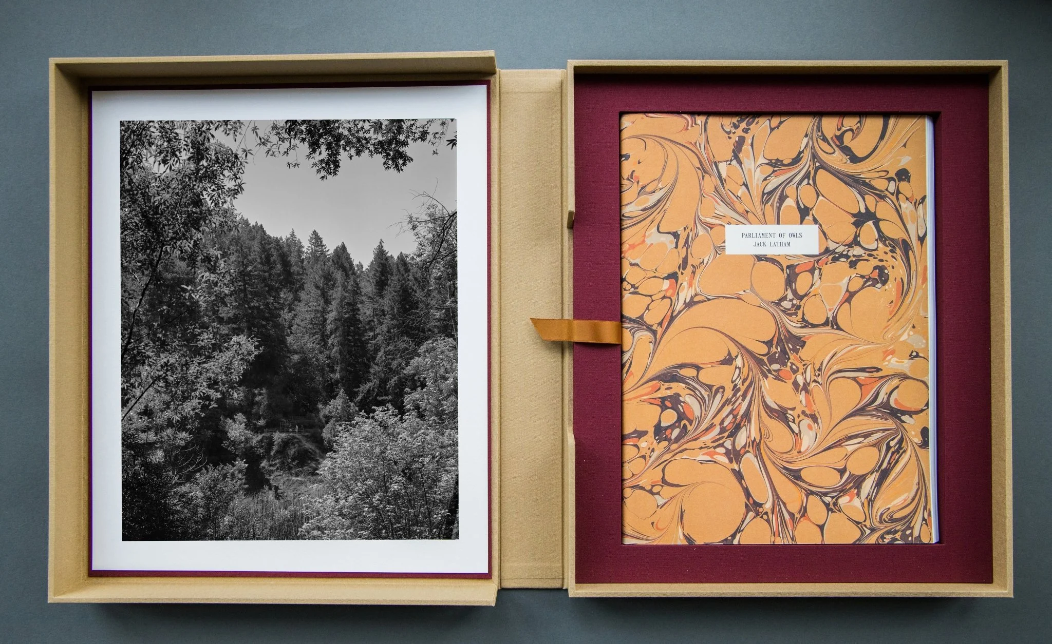 Parliament of Owls Portfolio Box - Image 20