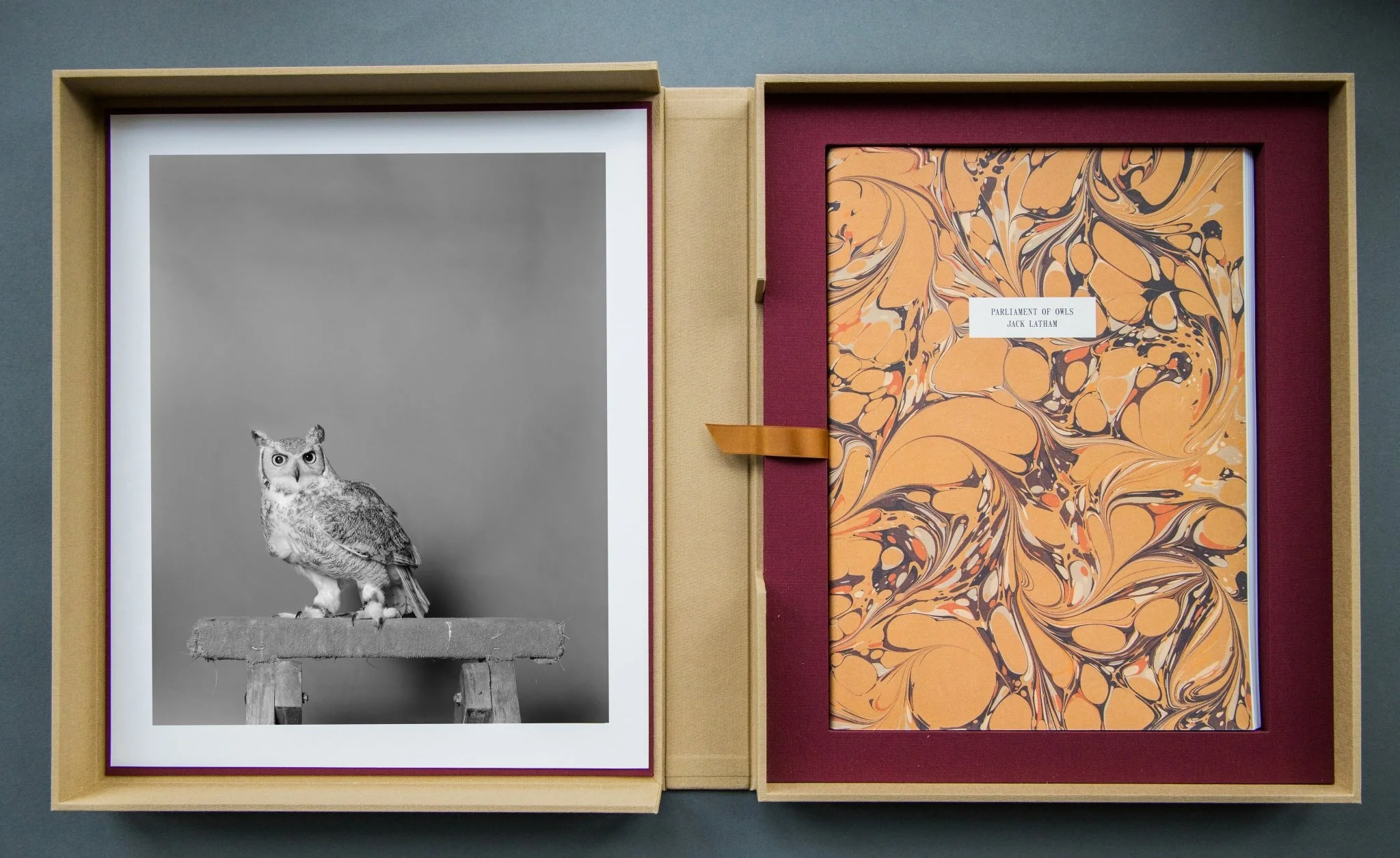 Parliament of Owls Portfolio Box - Image 27