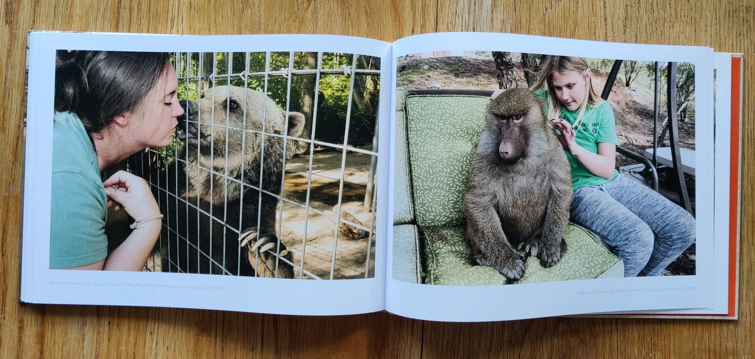 Peaceable Kingdom - Image 8