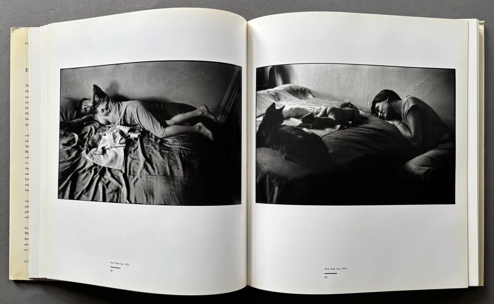 Personal Exposures - Image 5