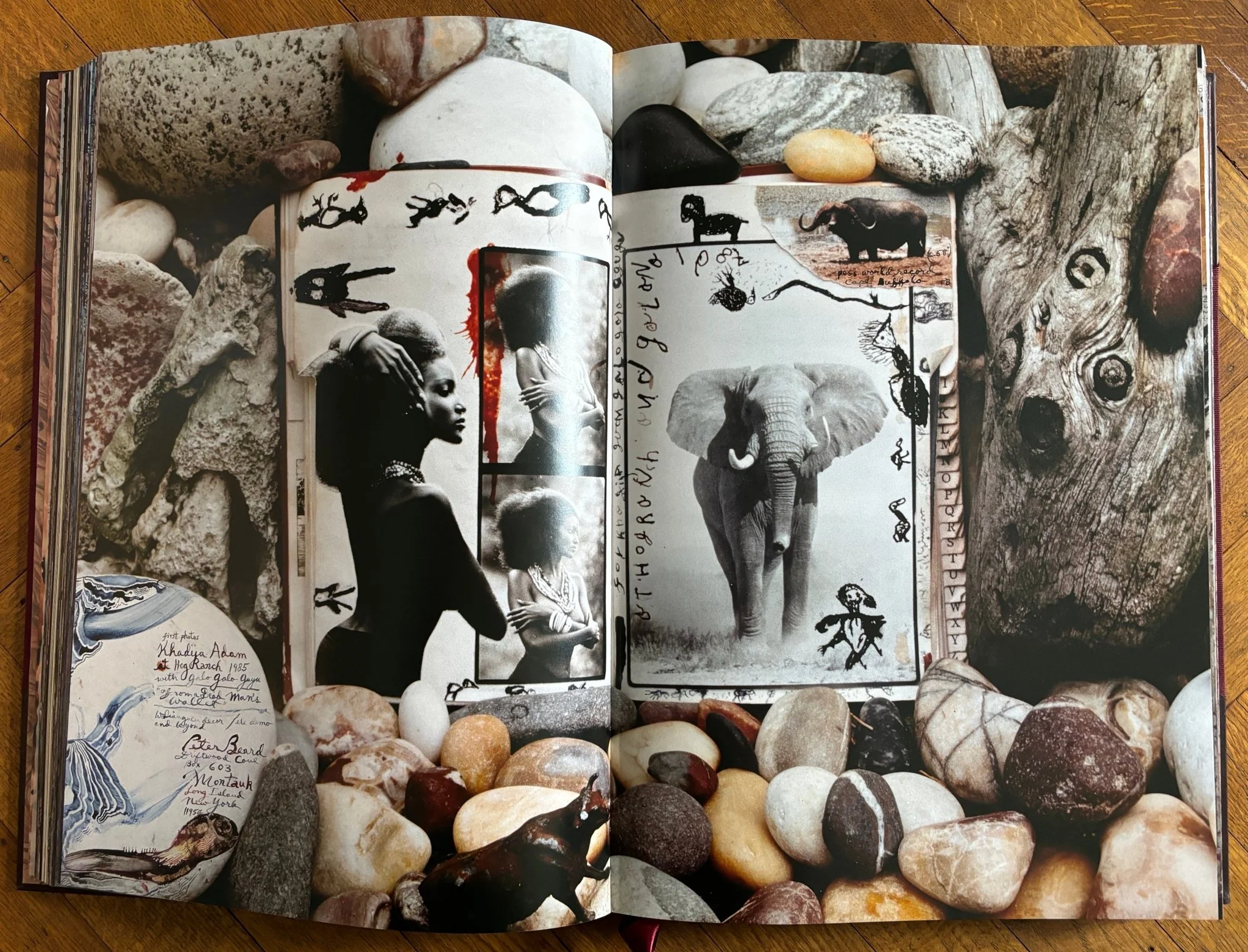 Peter Beard Taschen Art Edition - Image 8