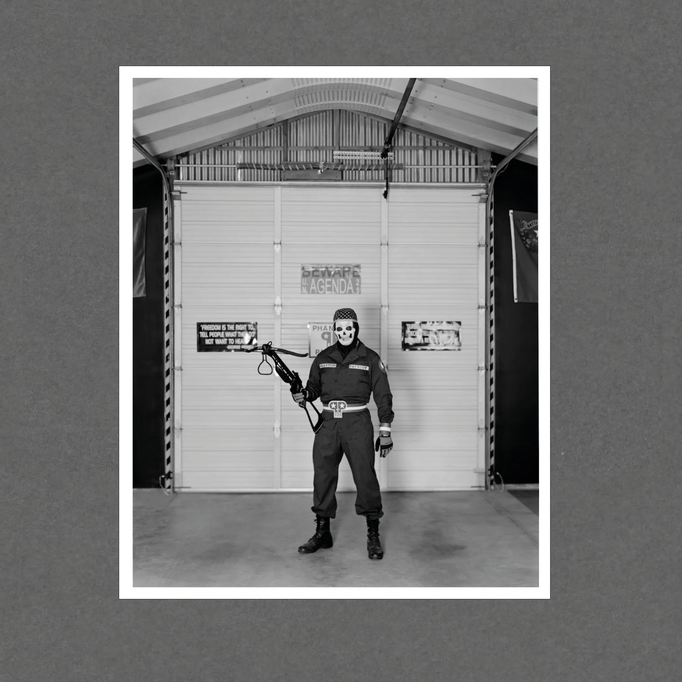 Phantom Patriot (Limited Edition Print with a signed copy of Parliament of Owls)