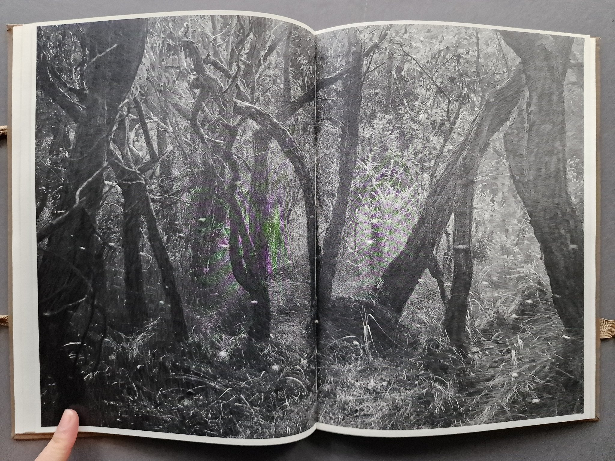 Phenomena - Image 4