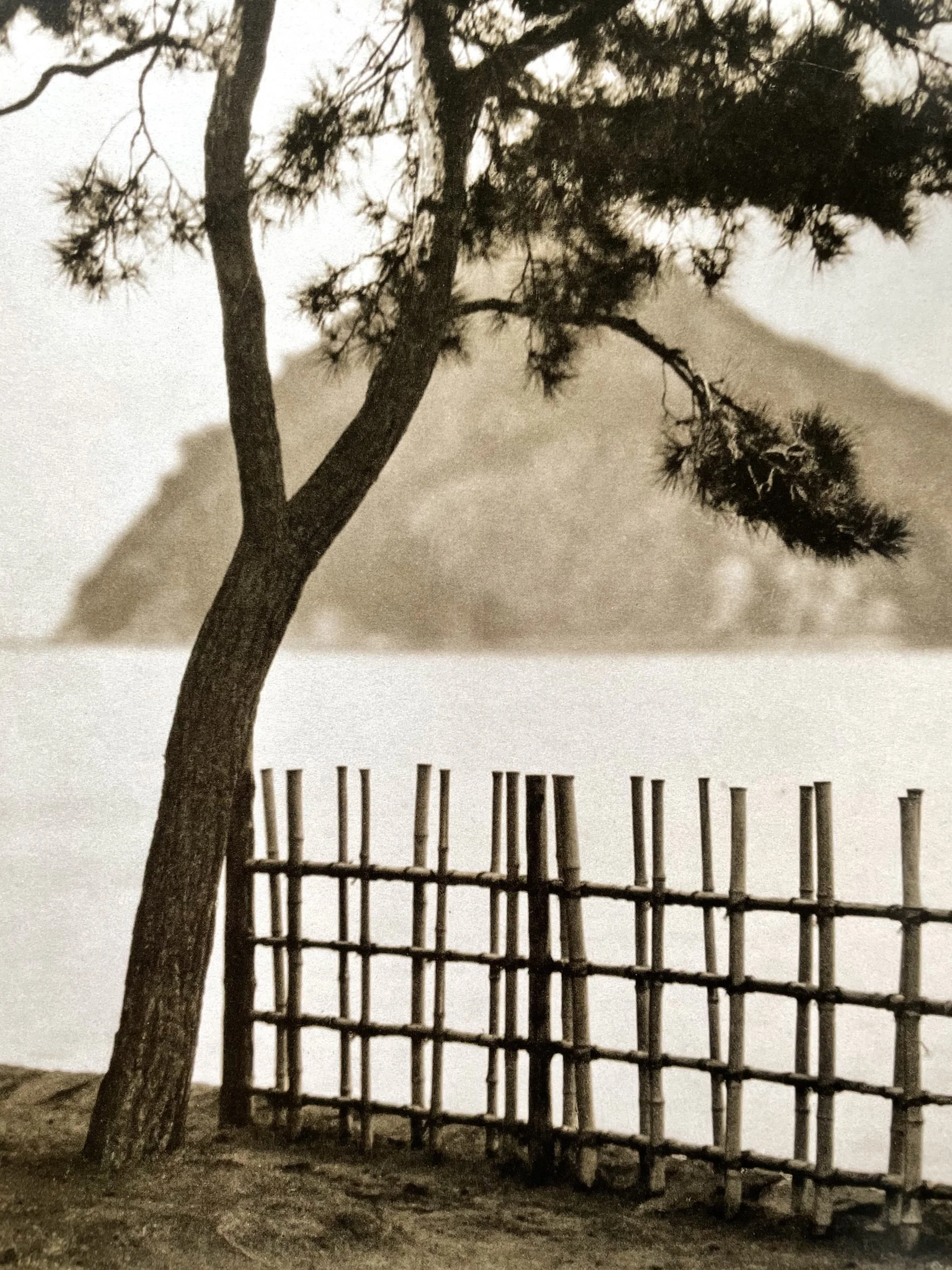 Photographs by Ginza modern Boys 1913-1941 - Image 2