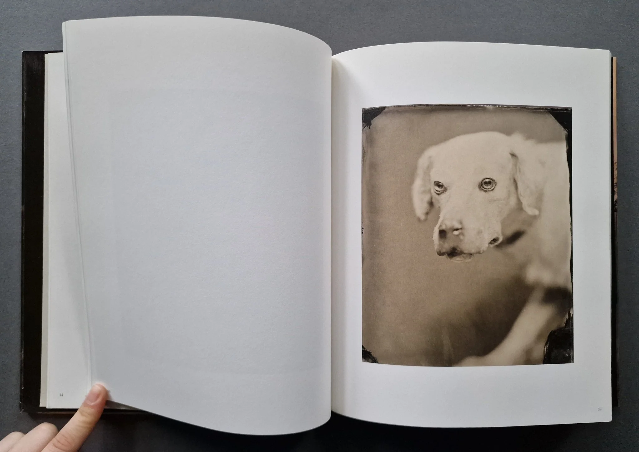 Photographs - Image 4