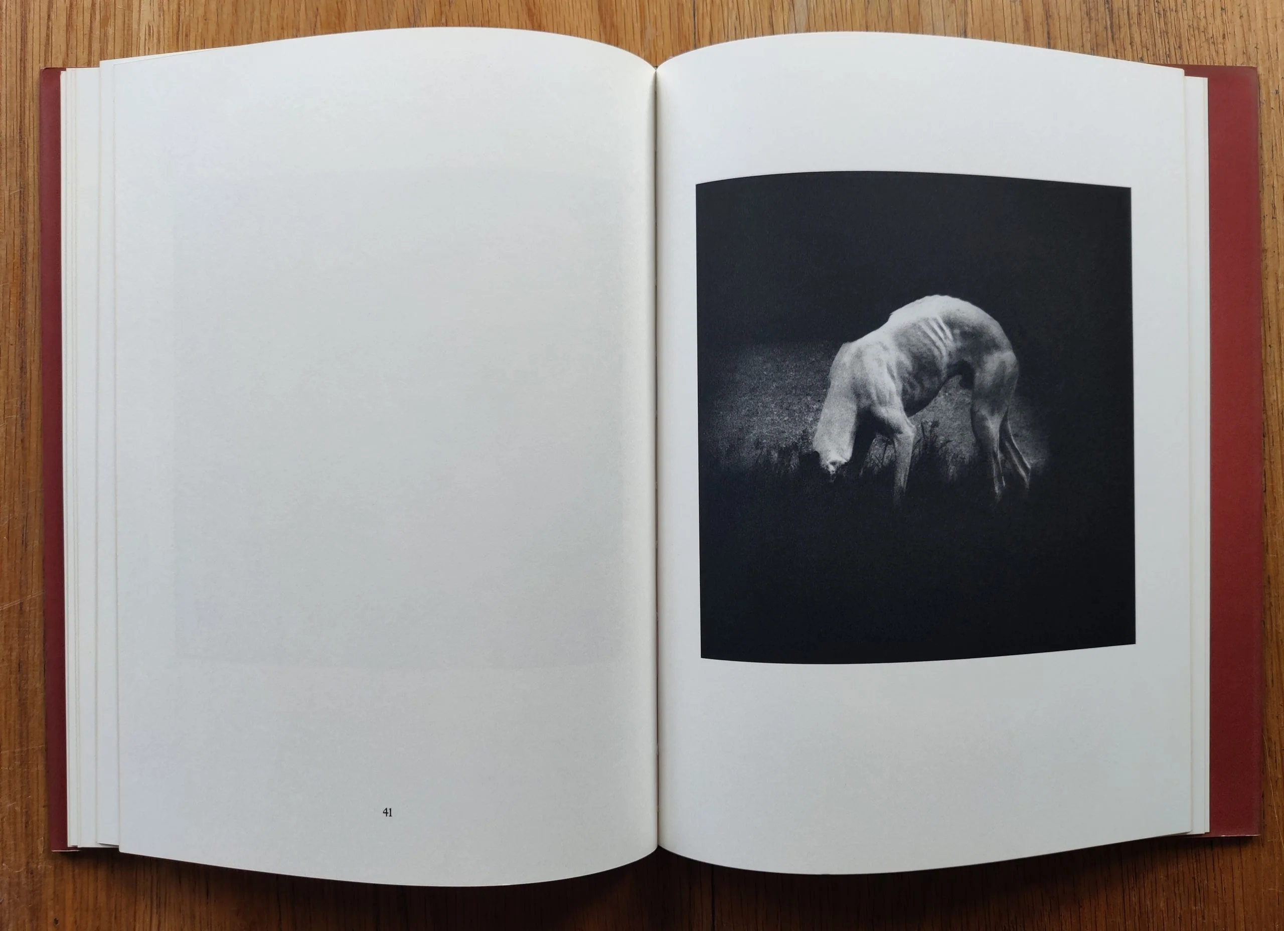 Photographs - Image 6