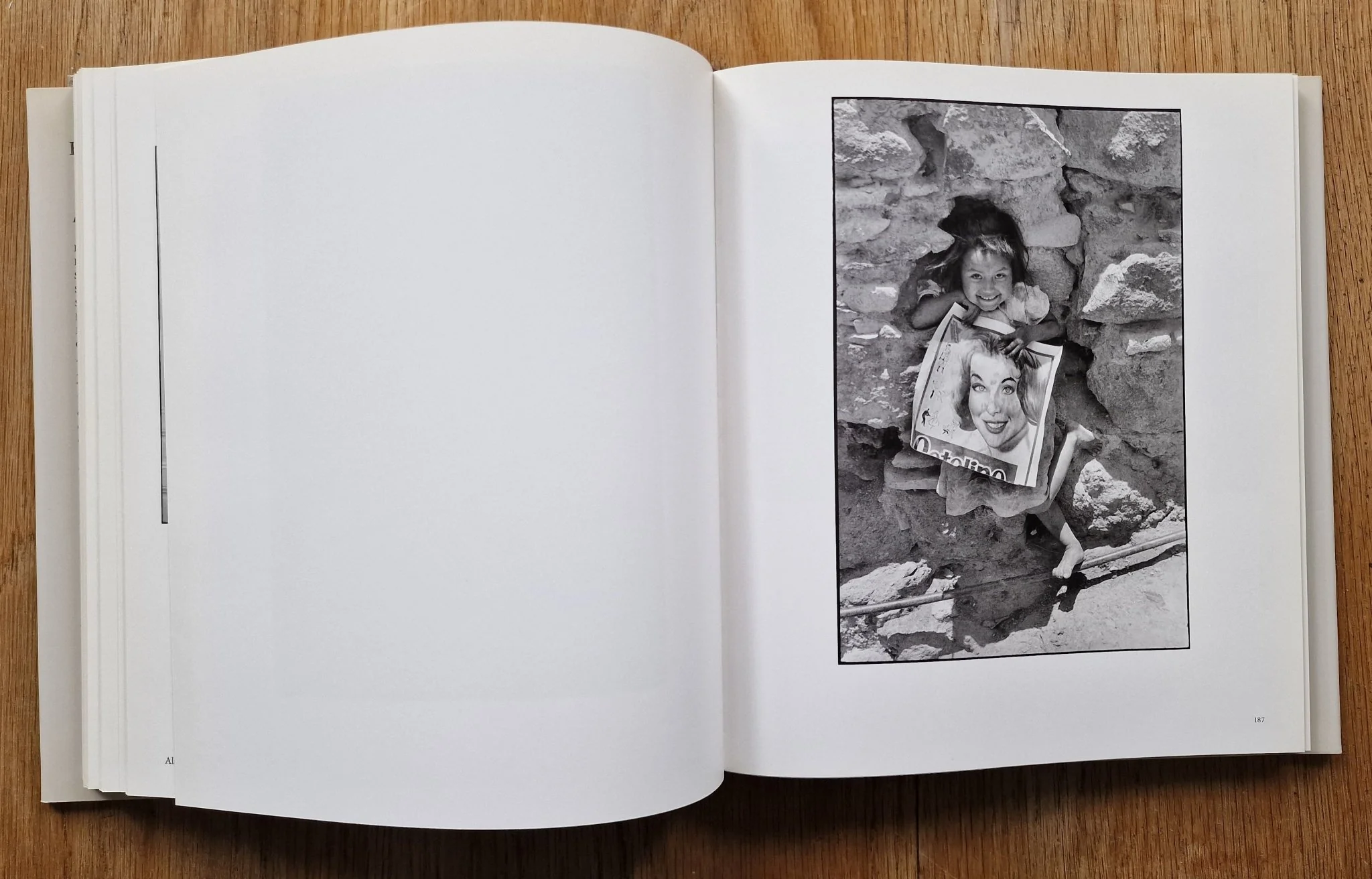 Photoportraits - Image 6