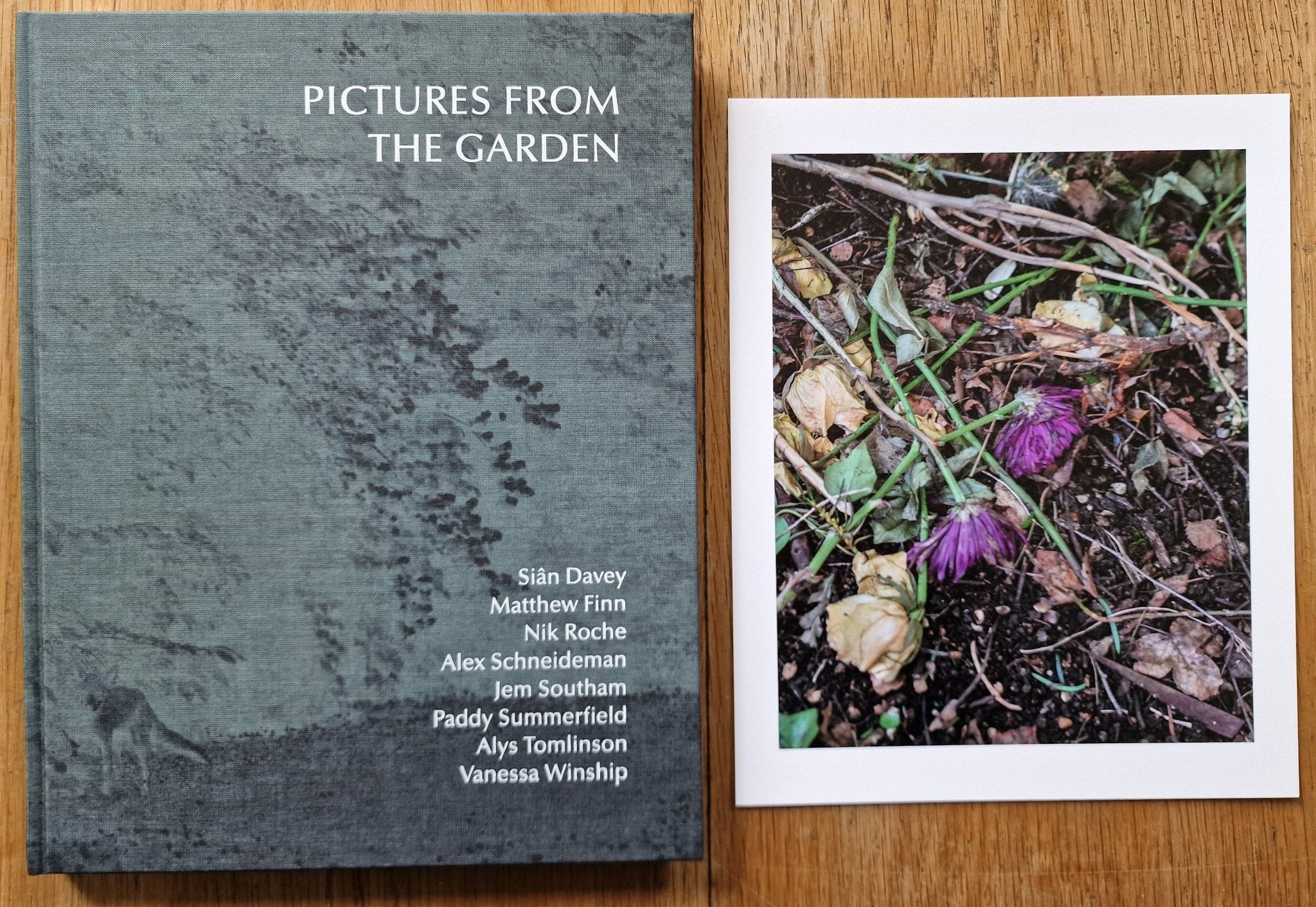 Pictures From The Garden - Image 9