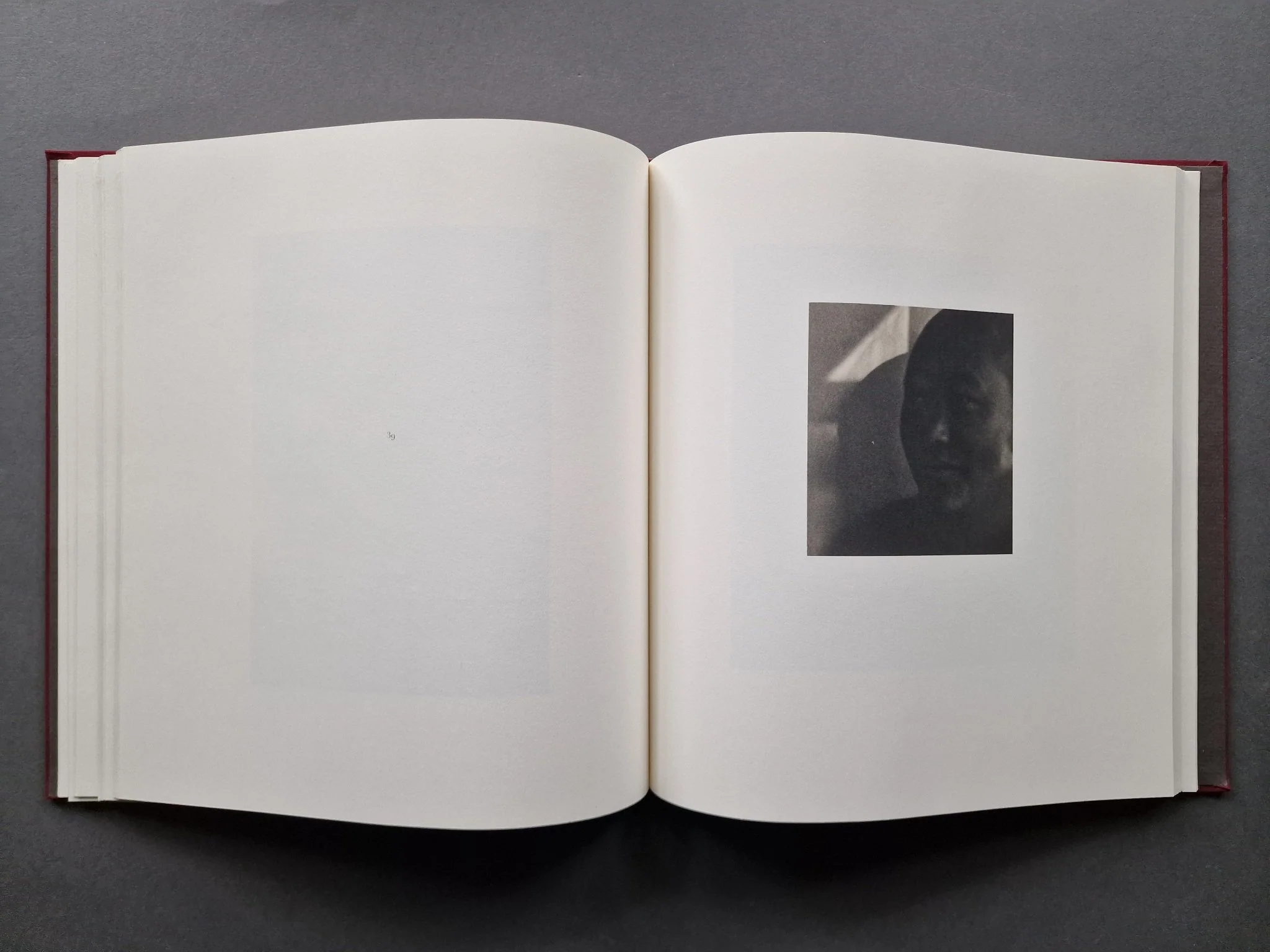Pilgrim - Image 5