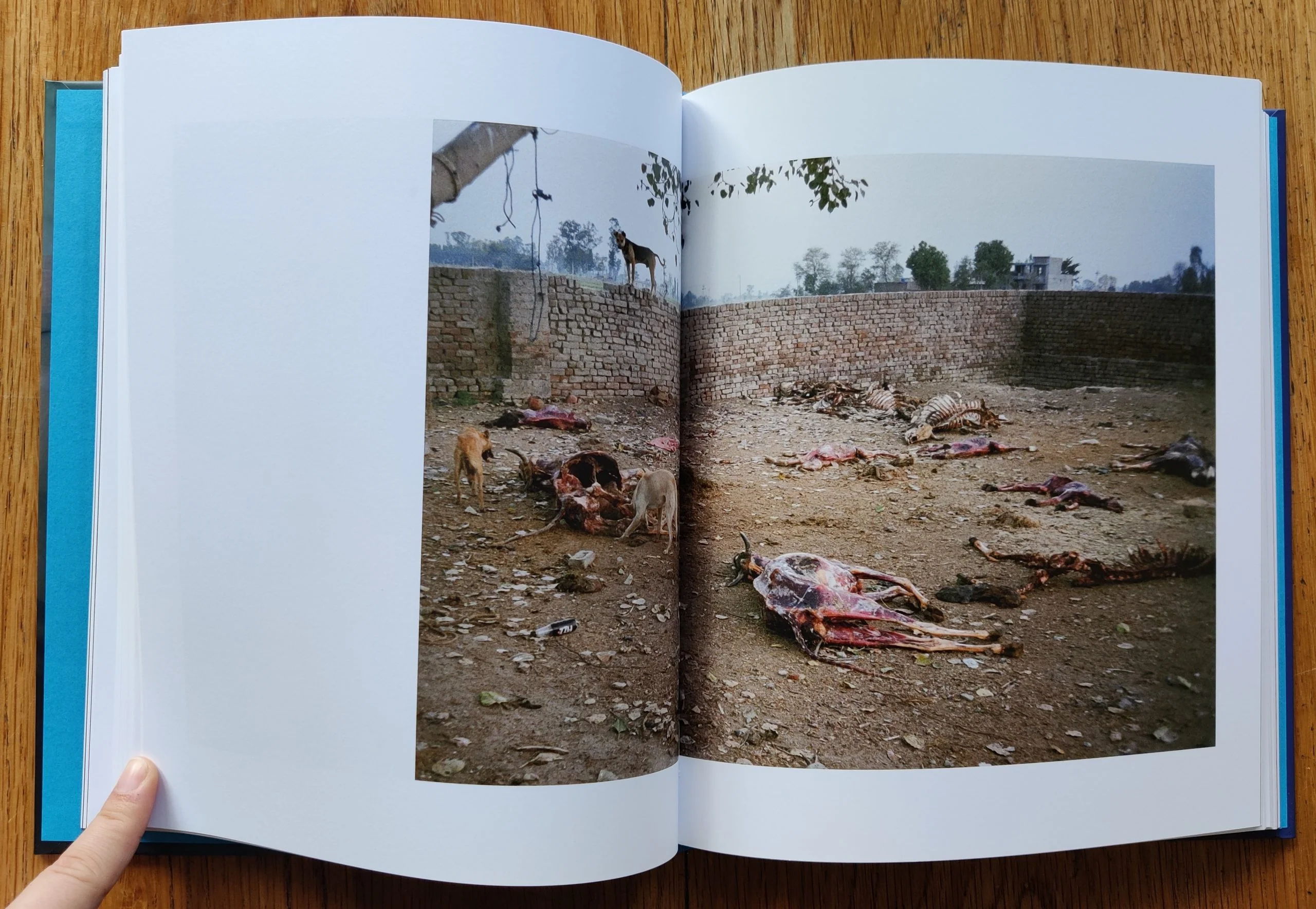 PIND: Portrait of a Village in Rural Punjab - Image 4
