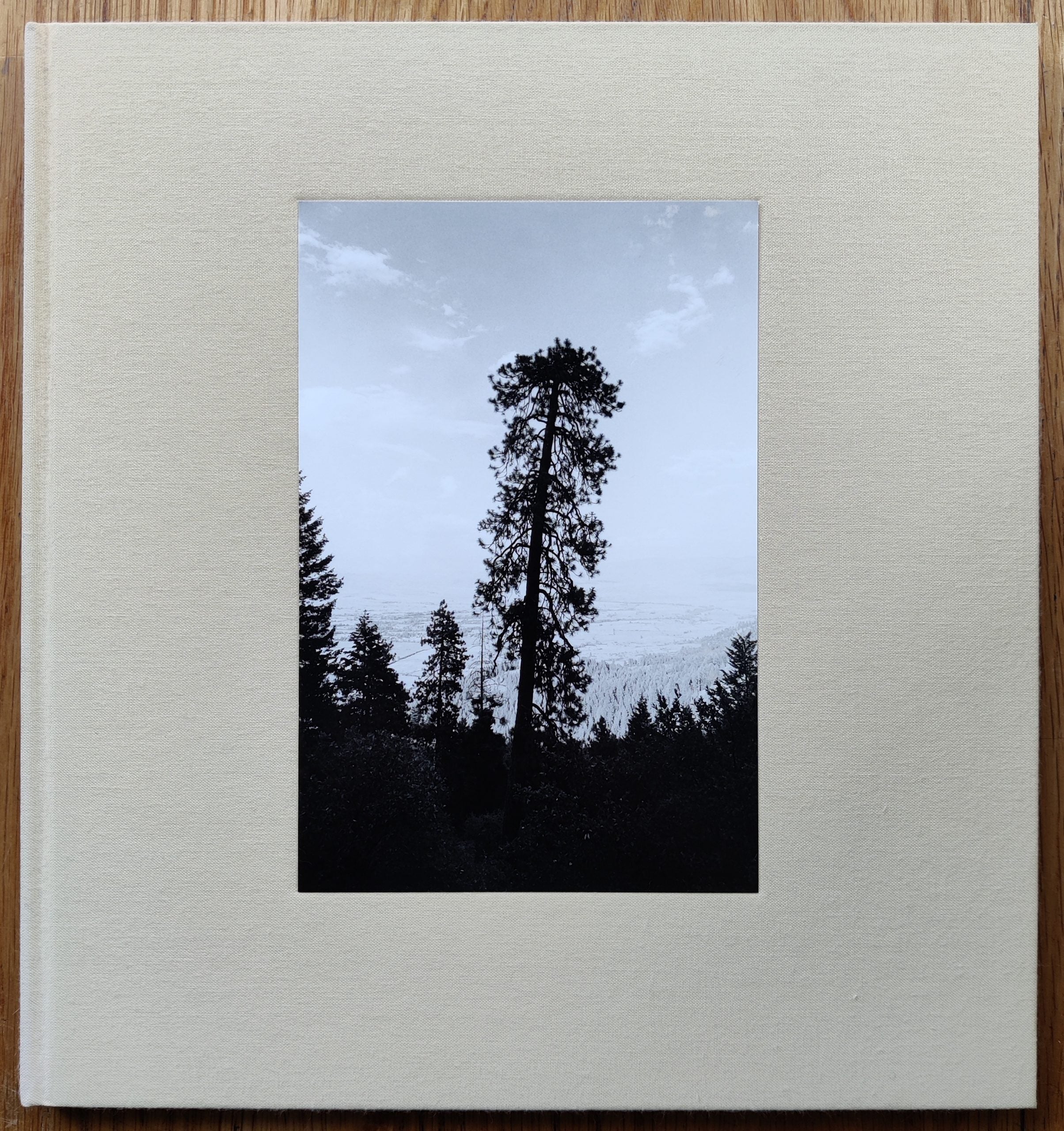 Pine Valley (Slipcased Edition) - Image 2