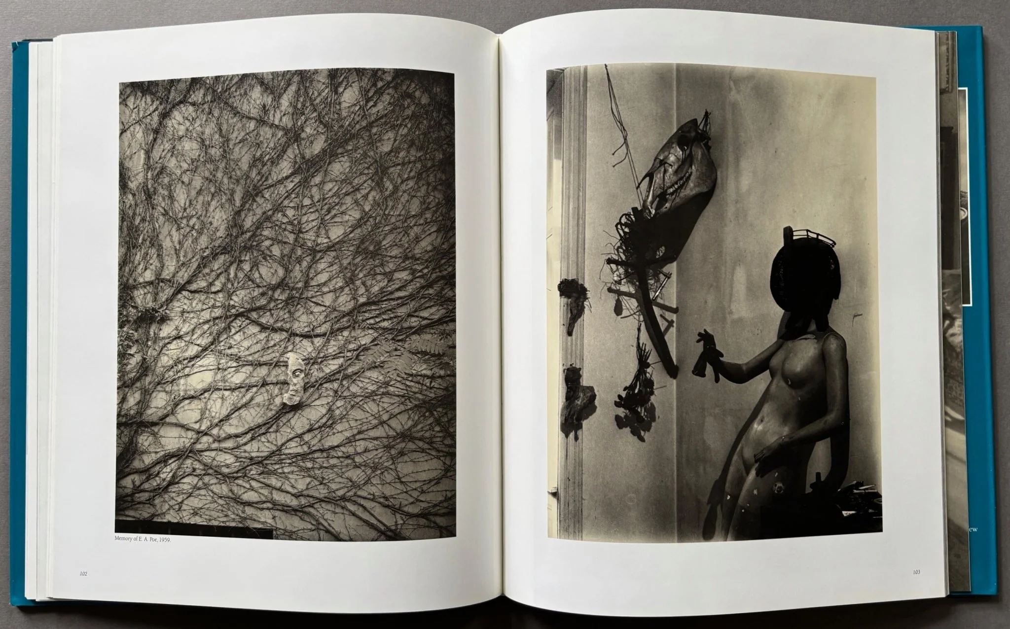 Poet Of Prague: A Photographer's Life - Image 3
