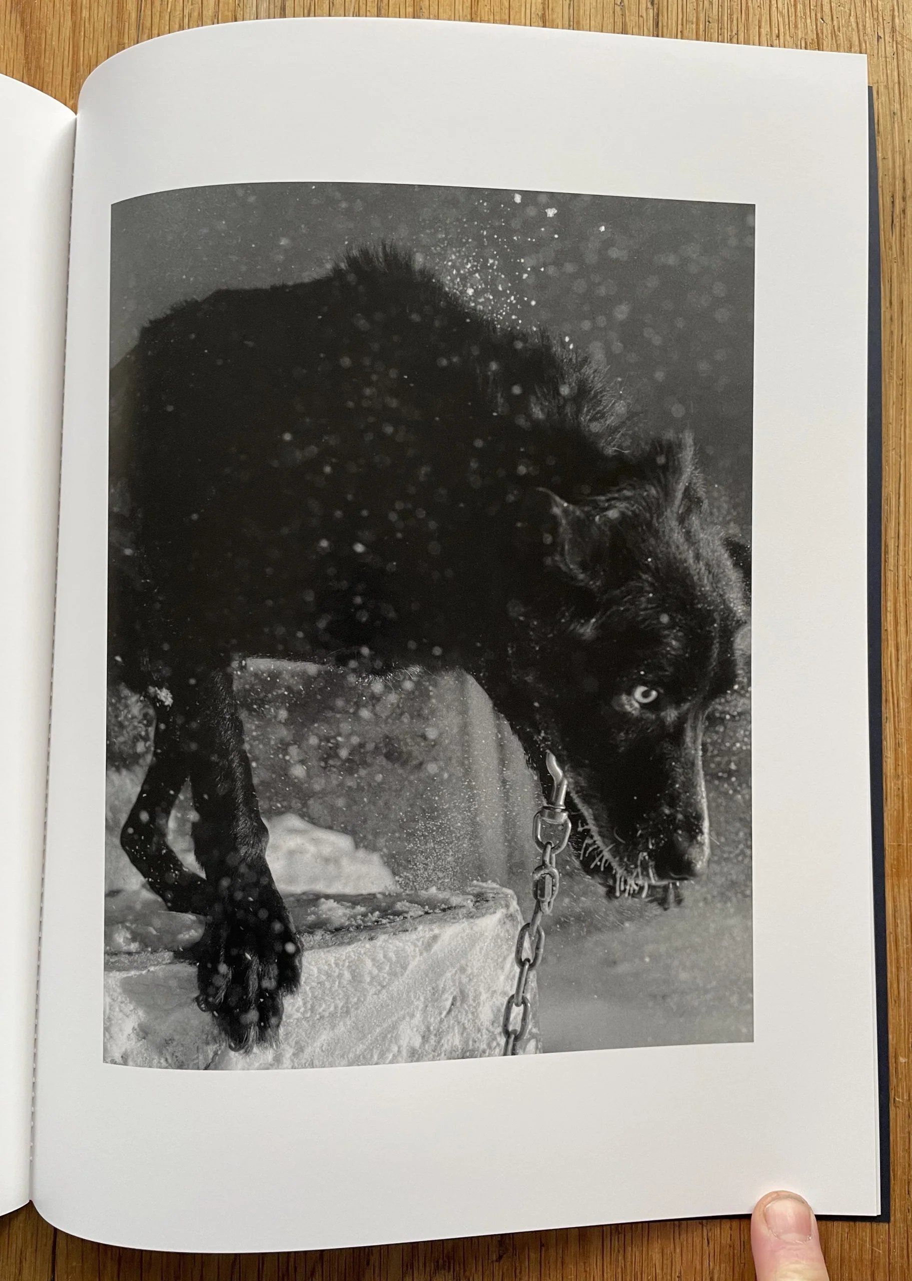Polar Night - Image 4