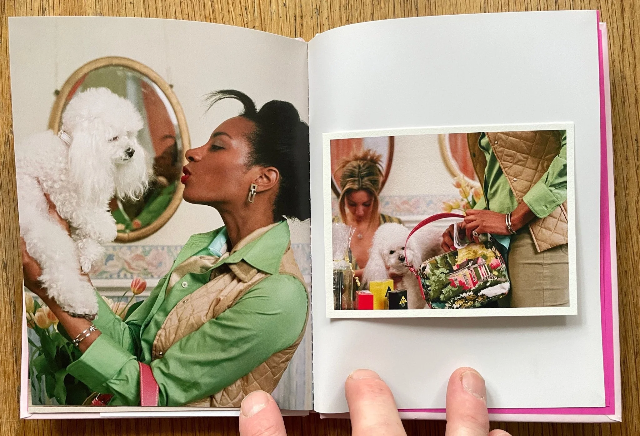 Poodle Parlour (One Picture Book) - Image 5