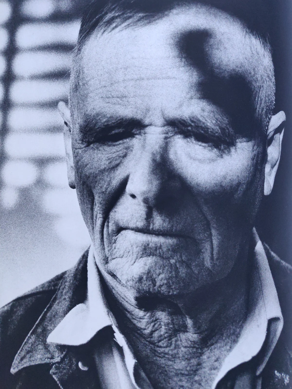 Portraits - Image 3