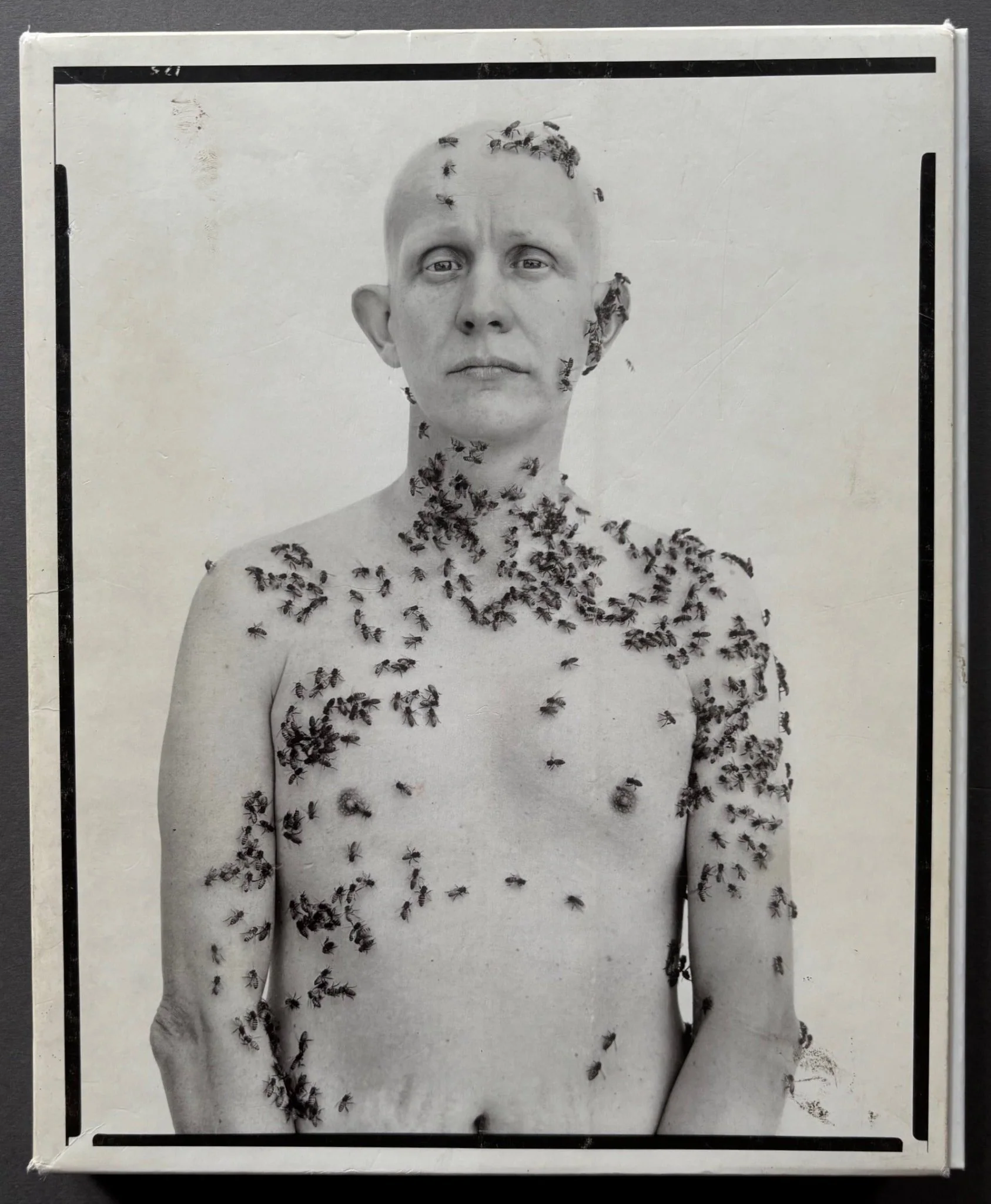 Portraits