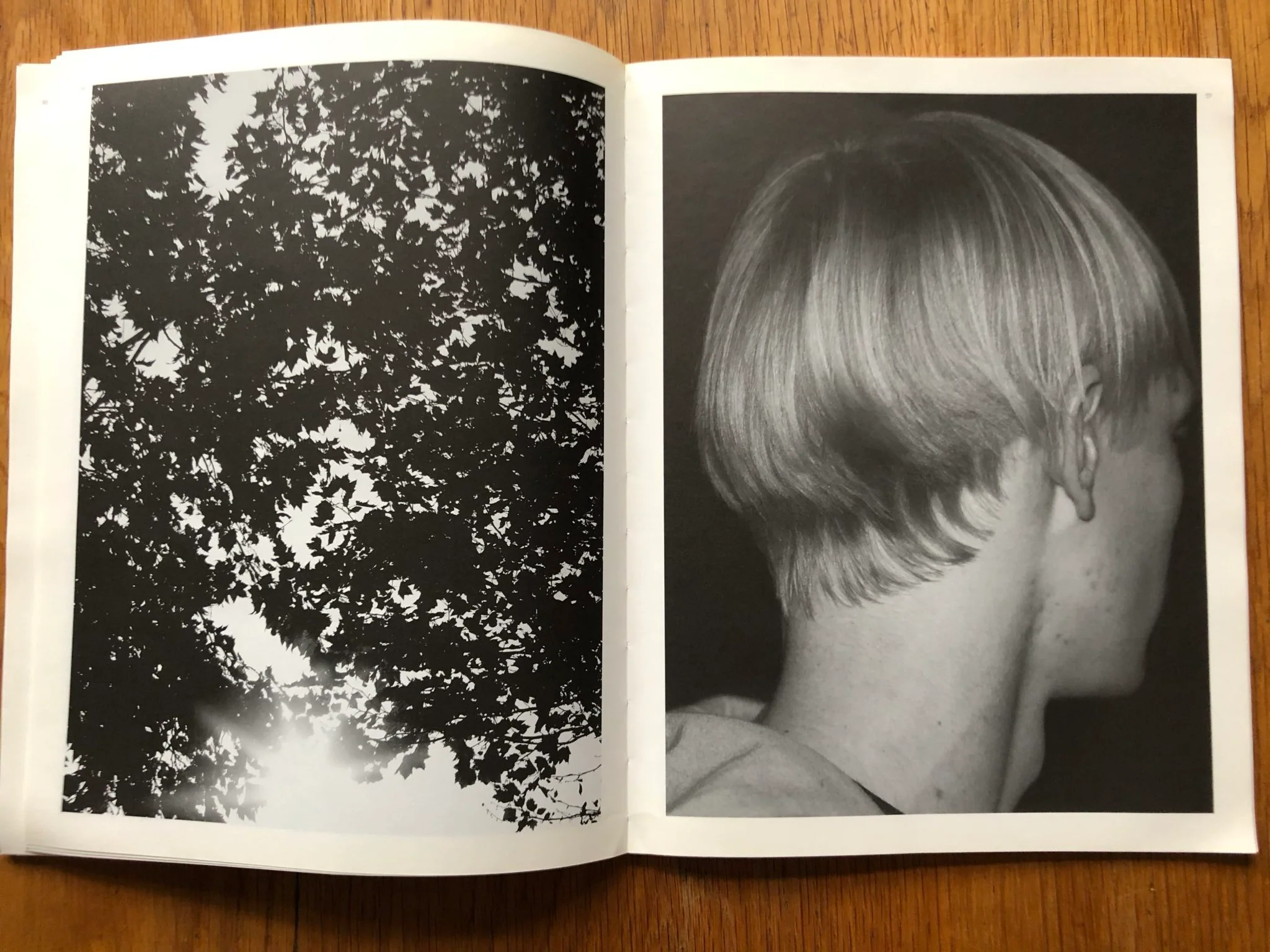 Ppaper 03 - Image 6