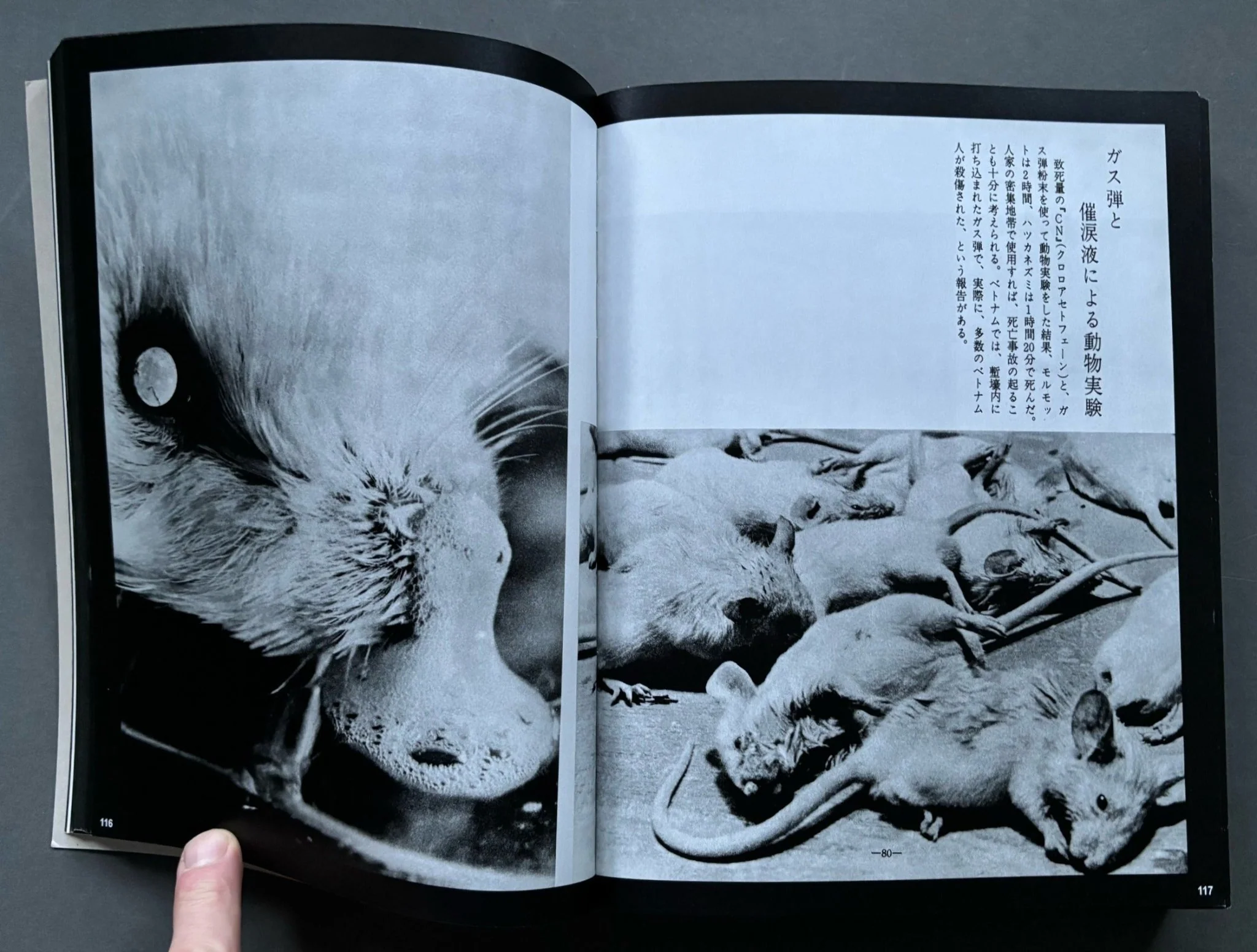 Provoke - Image 5