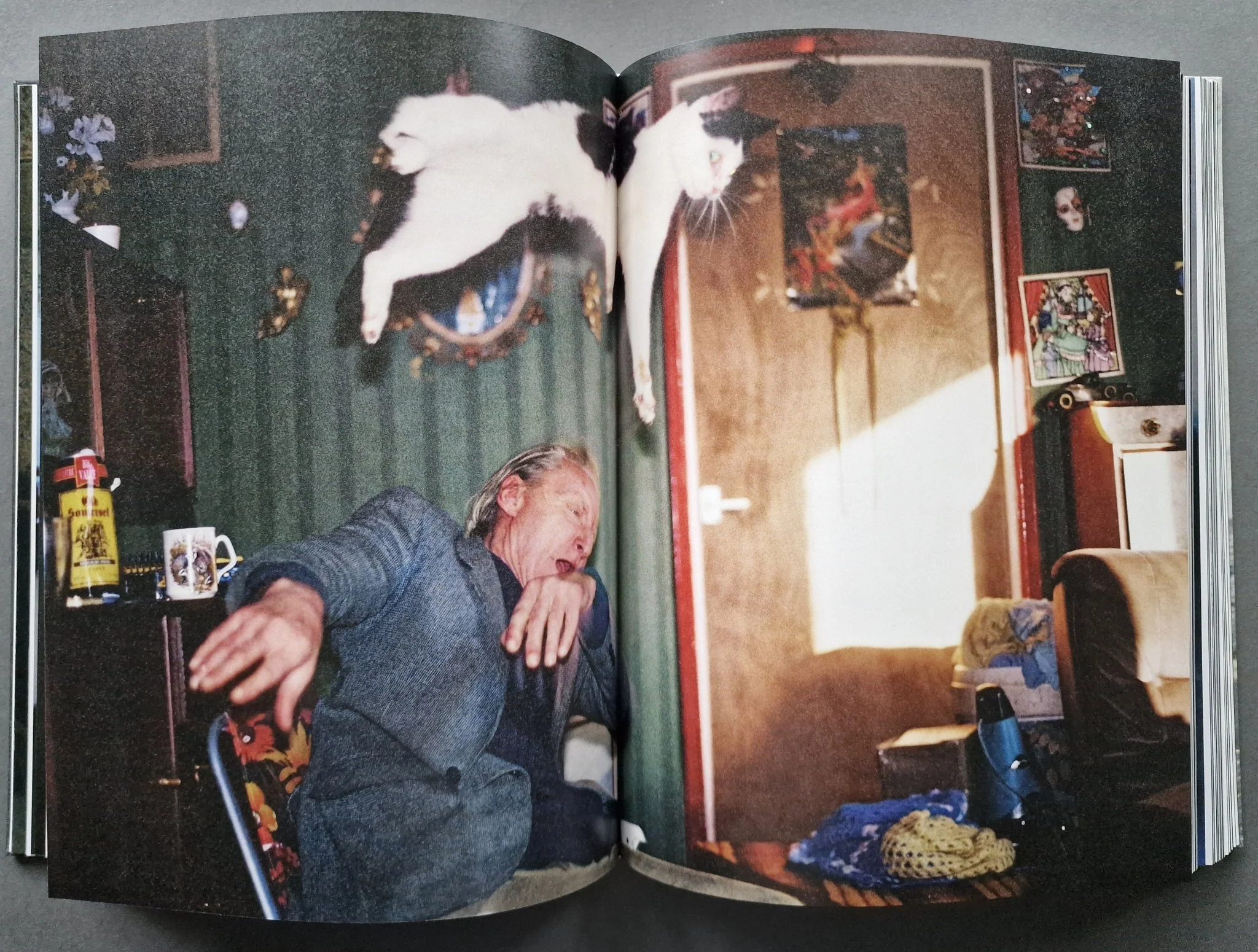 Ray's a Laugh - Image 8