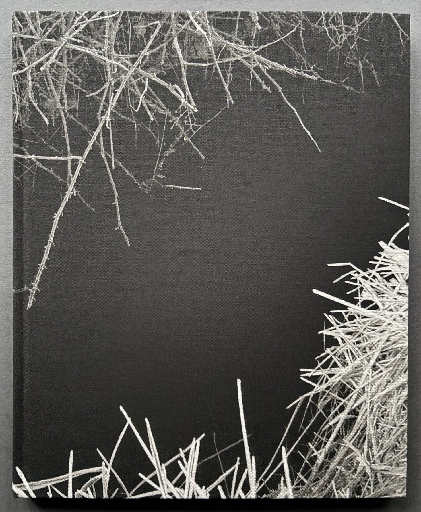 Reverie