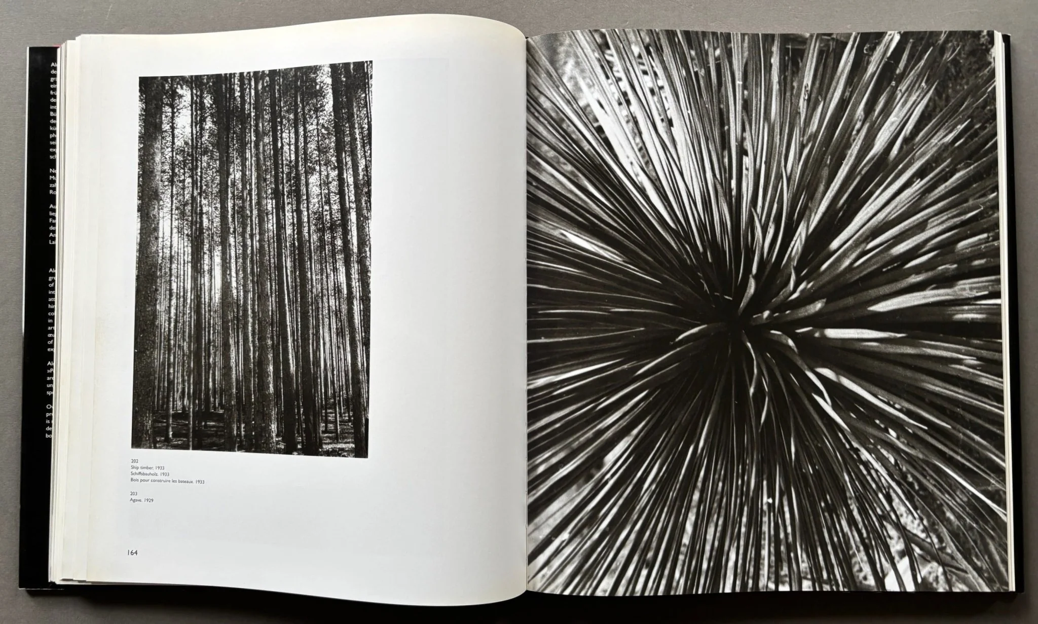 Rodchenko: Photographs 1924-1954 - Image 3