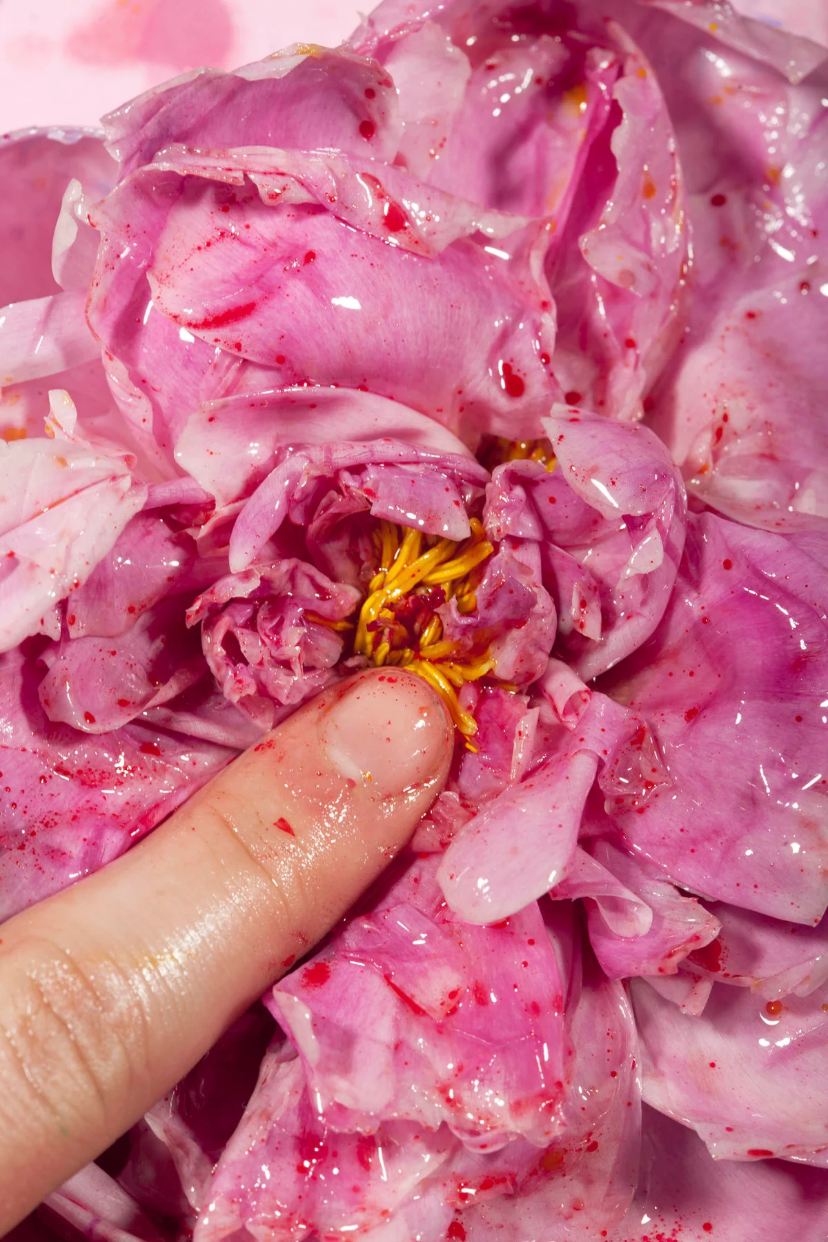 Rubbish Dipping Sauce Grass Peonie Bum - Image 7