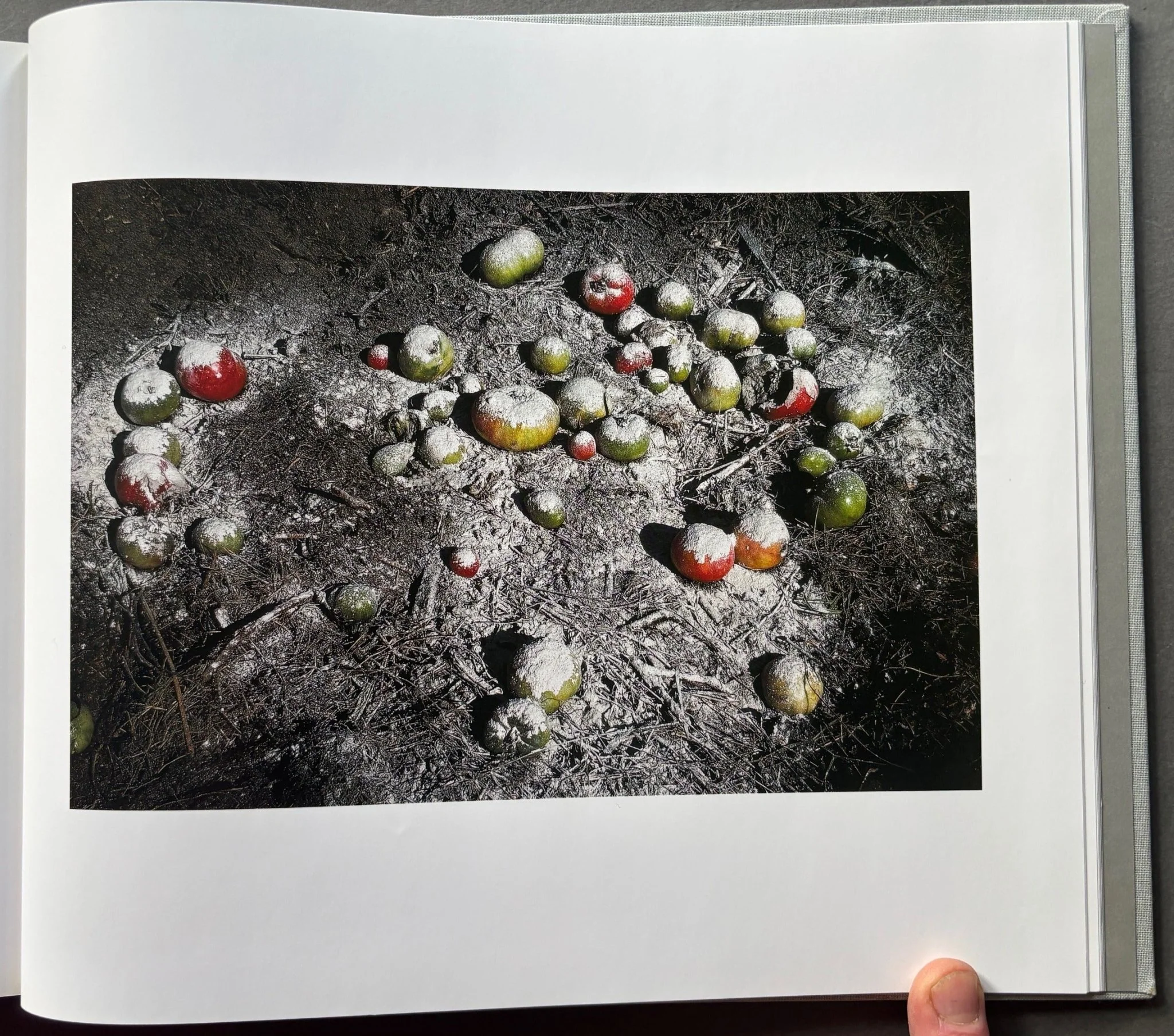 Sam Abell: The Photographic Life - Image 8